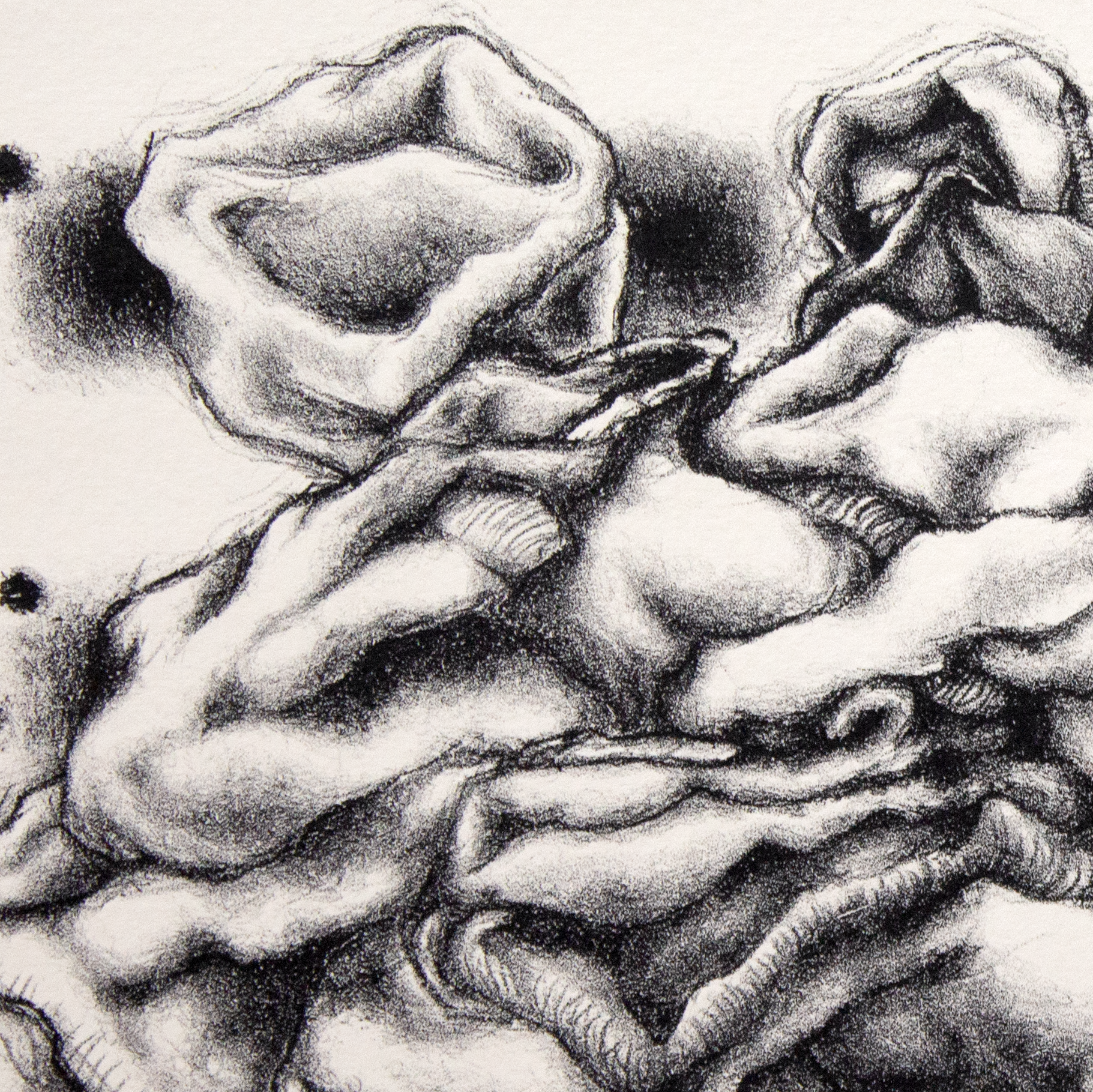 detail from accretion, 2022