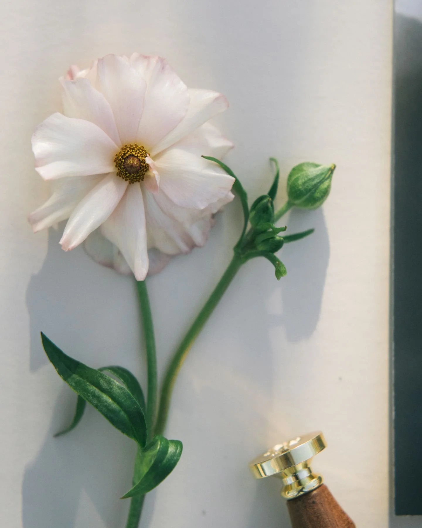 This probably isn&rsquo;t the first time you have heard this, and it definitely will not be the last. There are a lot of weddings happening this year!

Whether you are newly engaged or already knee-deep in planning, I wanted to share a quick update a