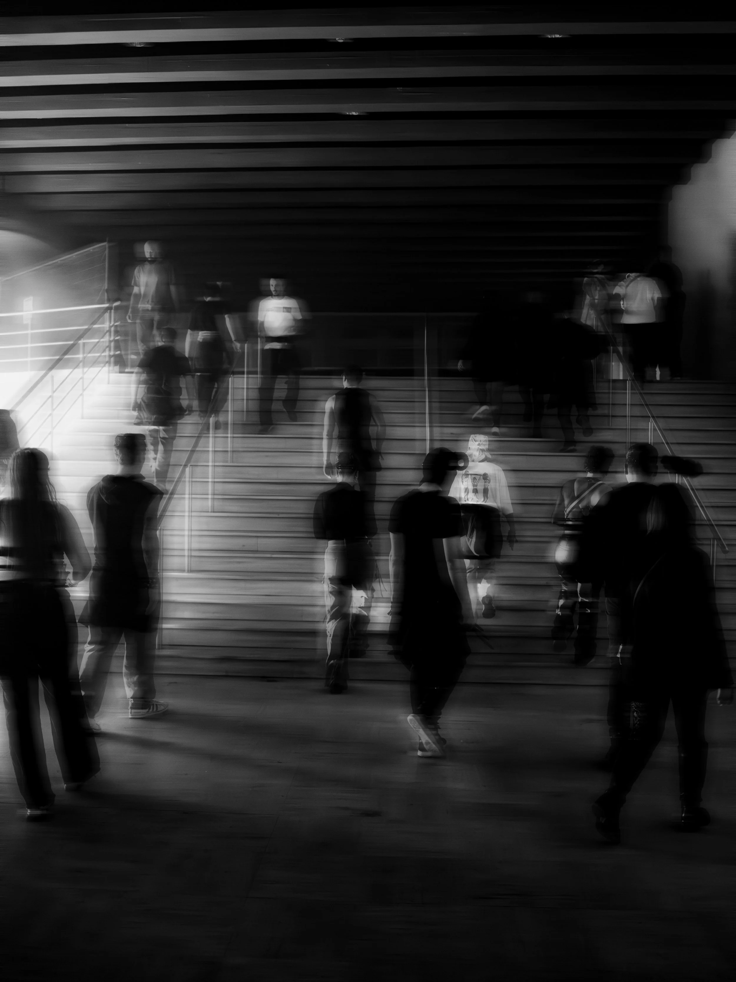 C2C- BASSLENS-13.jpg