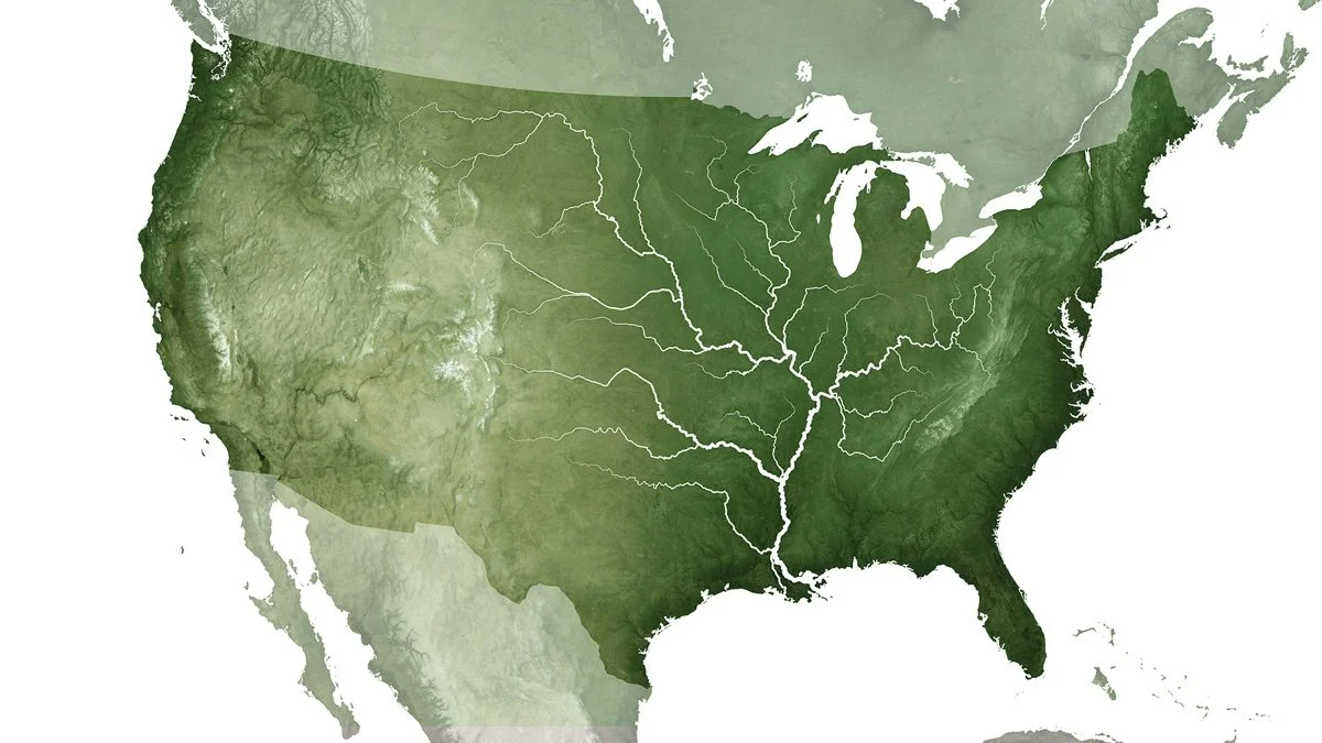 Social Media, Mental Health, and Keeping up with the Digital Joneses.