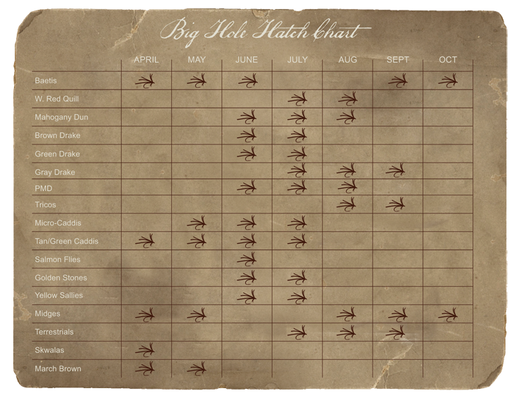 Monthly Fly Hatch Chart — Big Hole Lodge