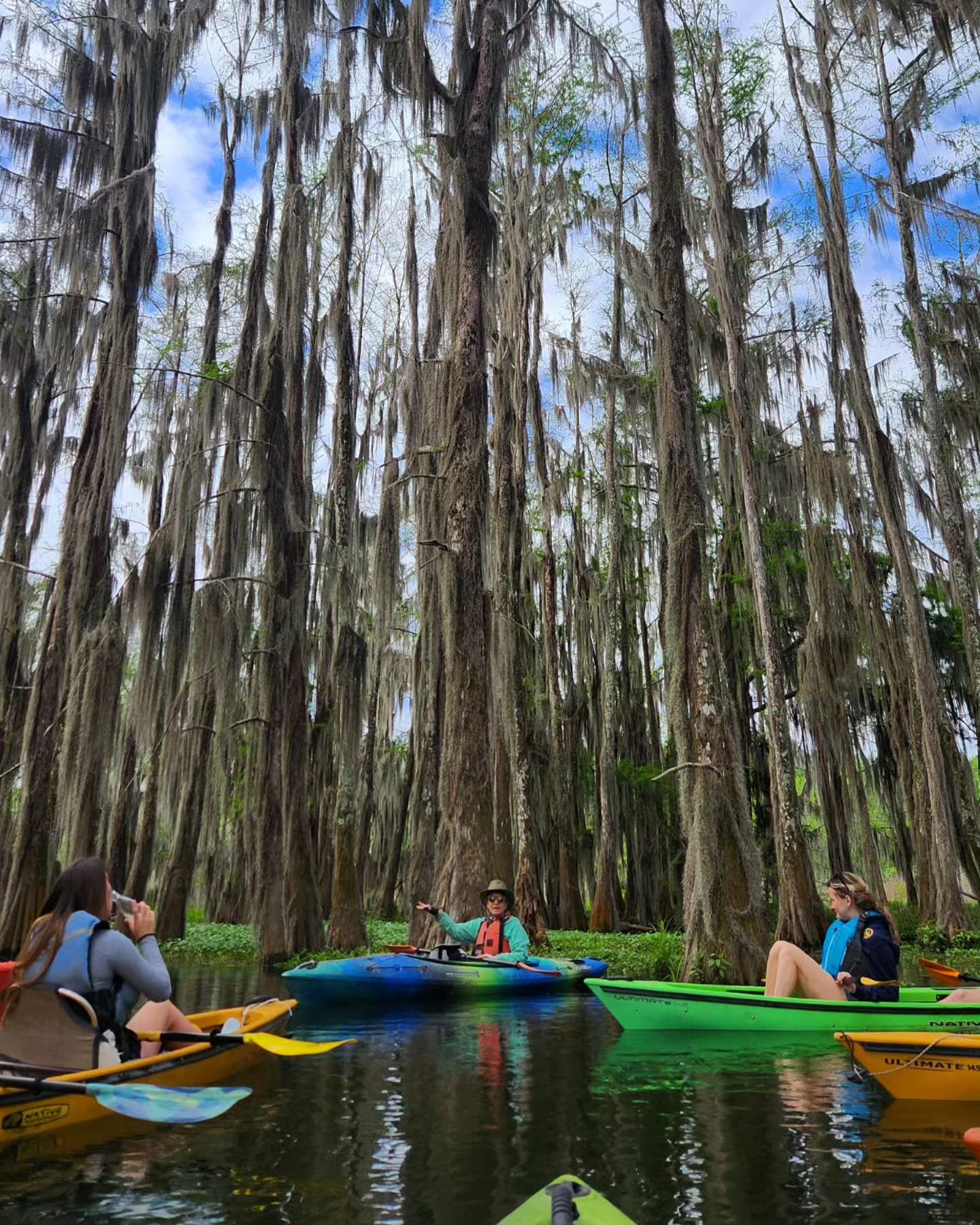 So happy to guide sweep for Janenne @ducinaltumkayak! It was a wonderful and peaceful adventure kayaking on Lake Martin through the moss-draped cypress and tupelo trees, observing the wildlife and getting some sun and fresh air. The weather was great