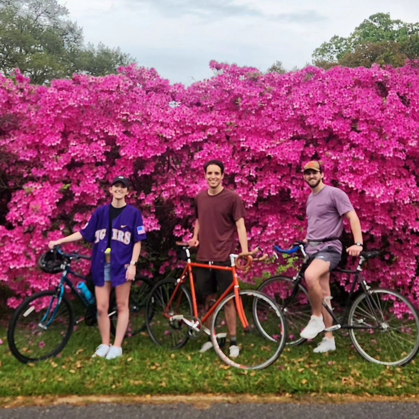 We rode the 🌸@azaleatrail🌸 and they did not disappoint! 

📸 @timothycazares @toutdesuitefilms

#adventure #cycling #bicycle #azaleas #azaleatrail #lafayette #lafayettela #bikelafayette #acadiana #acadianaadventureguides #experienceacadiana #Acadia