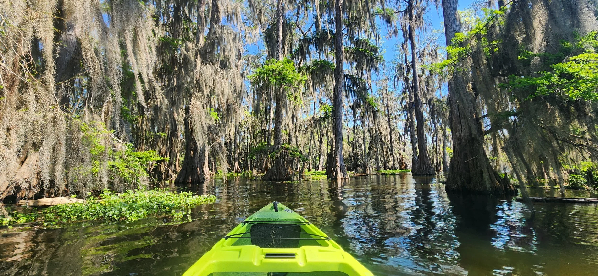 20240323_144540 (1).jpg