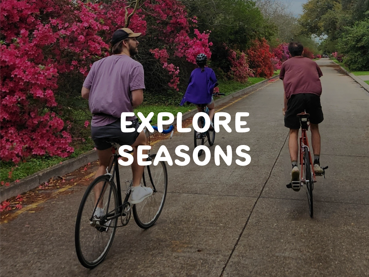 Acadiana Adventure Guide Explore Seasons