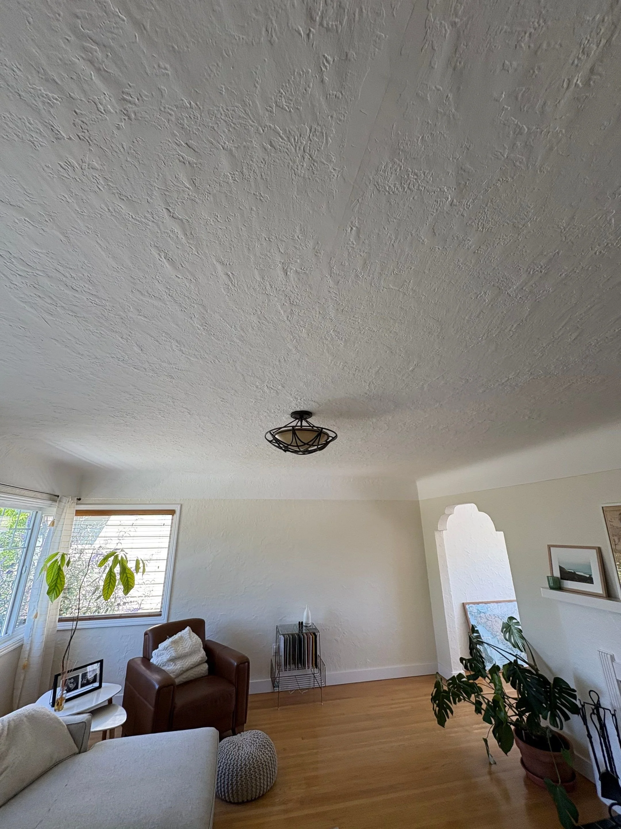 Living room with a cove ceiling and one central light fixture before recessed pot lights were added