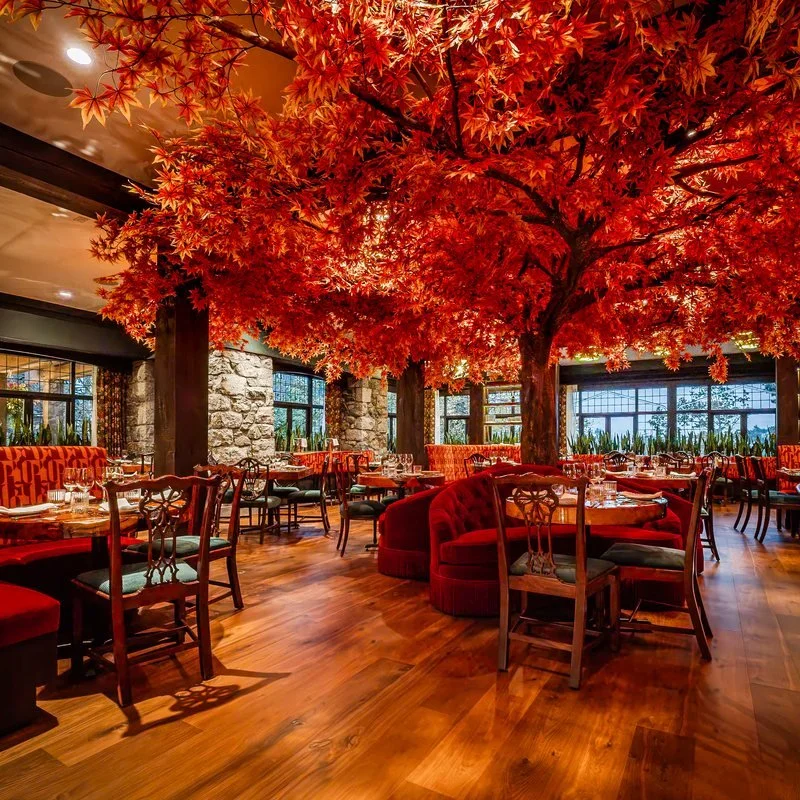 Concealed accent lighting illuminating the feature tree canopy in the hotel restaurant dining room
