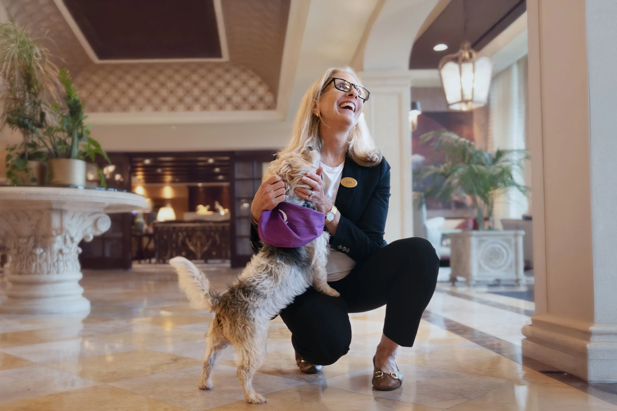 Greenwich Hospitality Dog Rescue