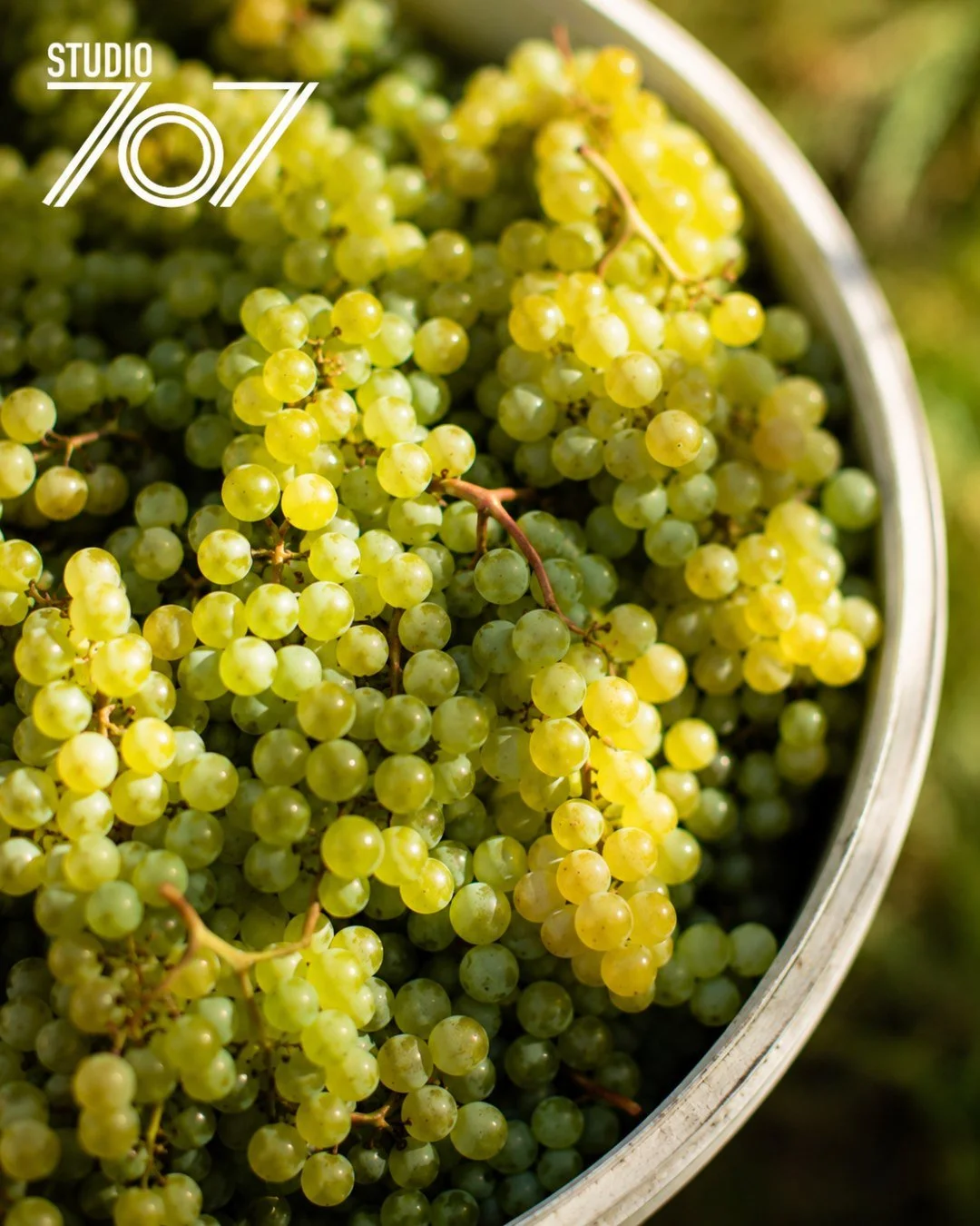 The first signs of harvest are here. As the first grapes are making their way off the vines, one of Wine Country's most anticipated seasons begins.