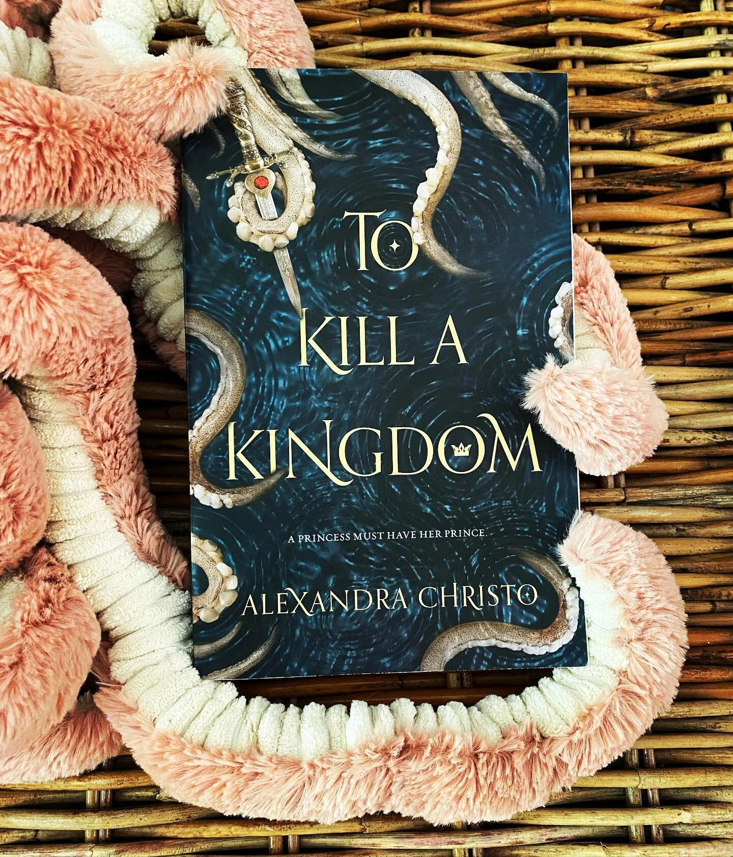 I always somehow find the perfect props for my books reviews just laying around the house. This one is brought to you by my daughter&rsquo;s octopus stuffy 😂
&bull;
A darker Little Mermaid retelling, complete with lying, literal heart stealing siren