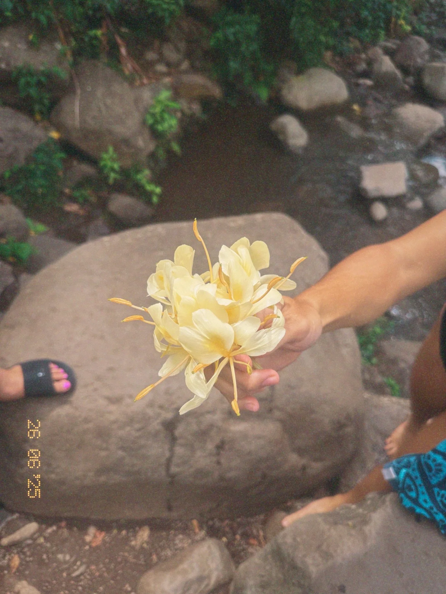 weekend photo dump 📷 // friends, family and food + quick trip to Oahu 🌸✈️ #summervibes☀️