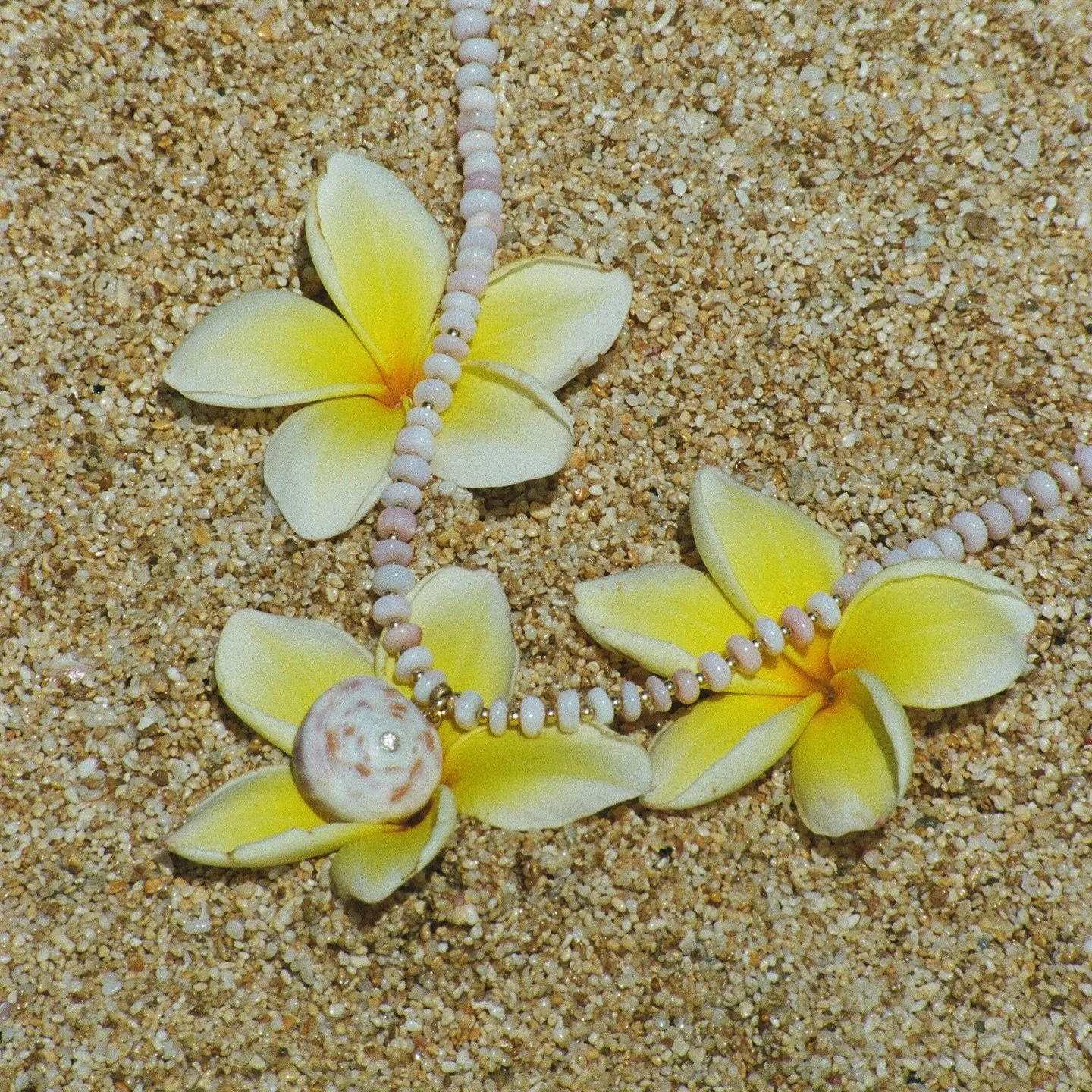 find me at Ke&rsquo;anae Market 12/13/2025 🌸🌱 9:00 AM - 1:00 PM - last event of the year will be Mele Kalikimaka Makeke - i will post more details soon 🌞