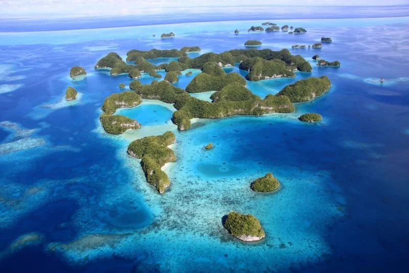 Palau research .jpeg