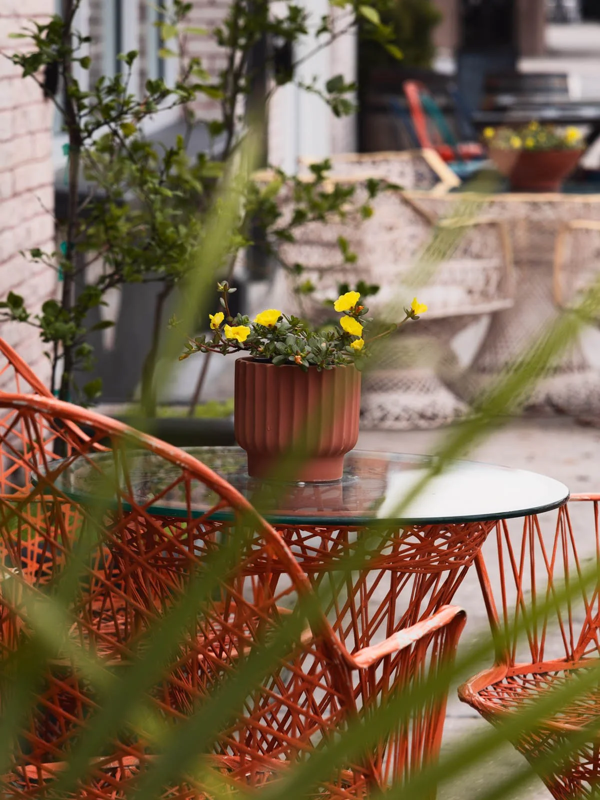 Street Side Table Setting