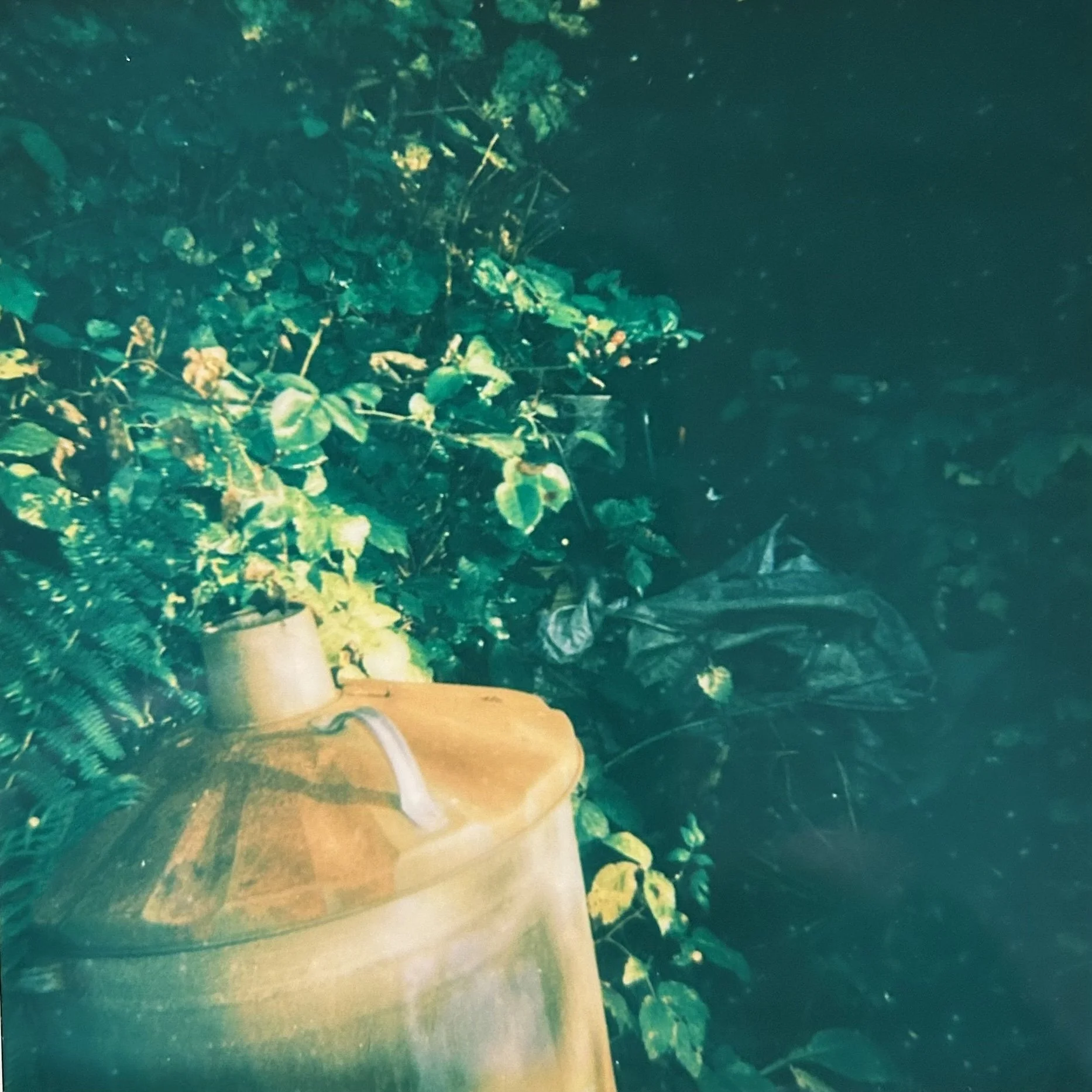 Allotment Tapes #2 - February
