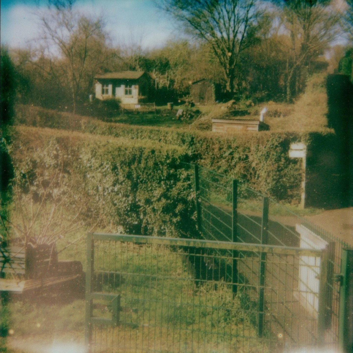 OUT TODAY! Allotment Tapes #4 - St Anns In The Countryside (with Mo Cooper) is out today via my Bandcamp.

Aprils tape meets with community historian (and gardener) Mo Cooper.. formerly the heritage officer at STAA, now retired but keeps getting 'dra