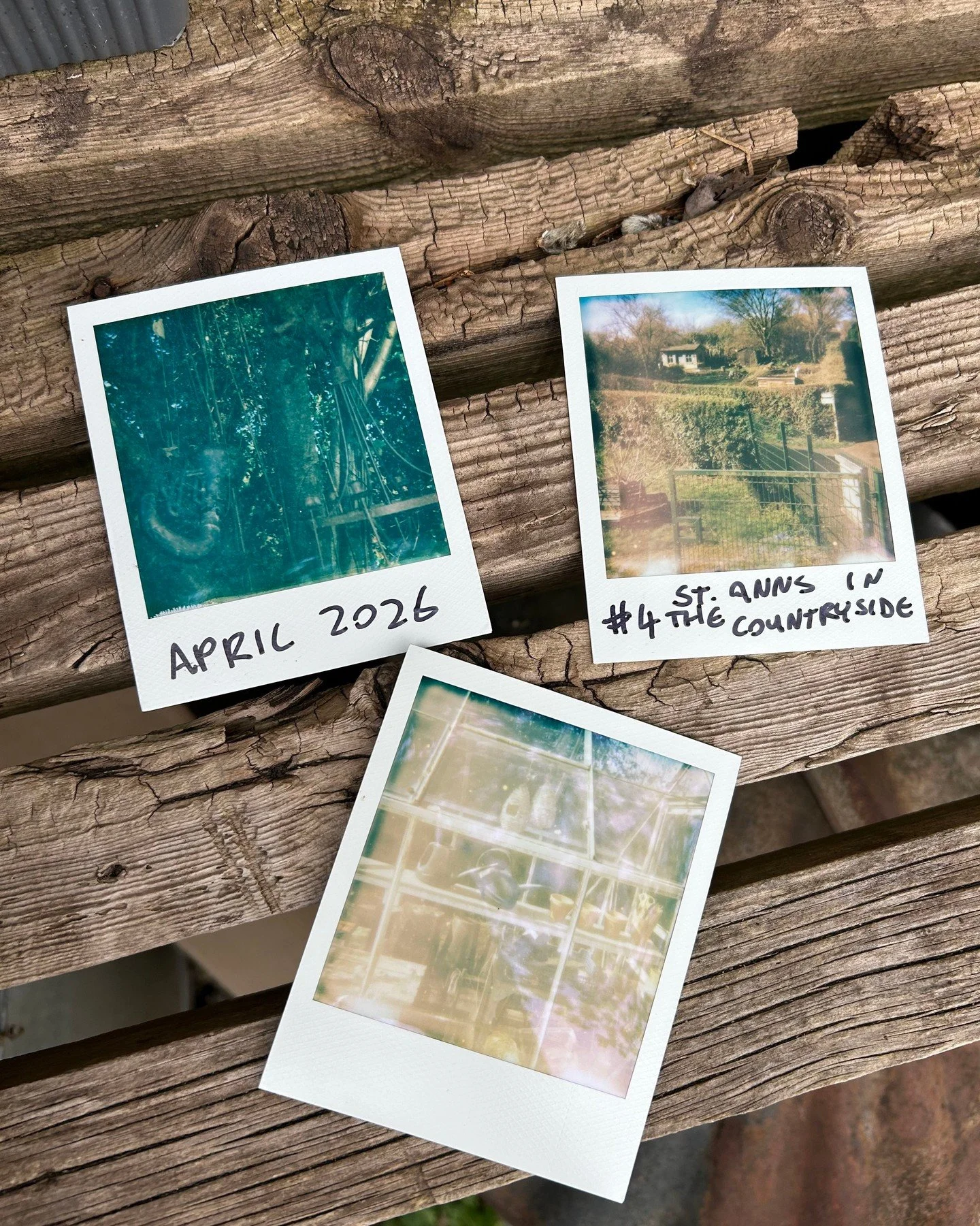 TOMORROW NIGHT! Join me down on the plot for our regular Listening Party. This month we will be taking an exclusive listen to May's release Allotment Tapes #5 - I Wanted the Trees over on my Bandcamp. Bring your flask and bask in the new summer heat.
