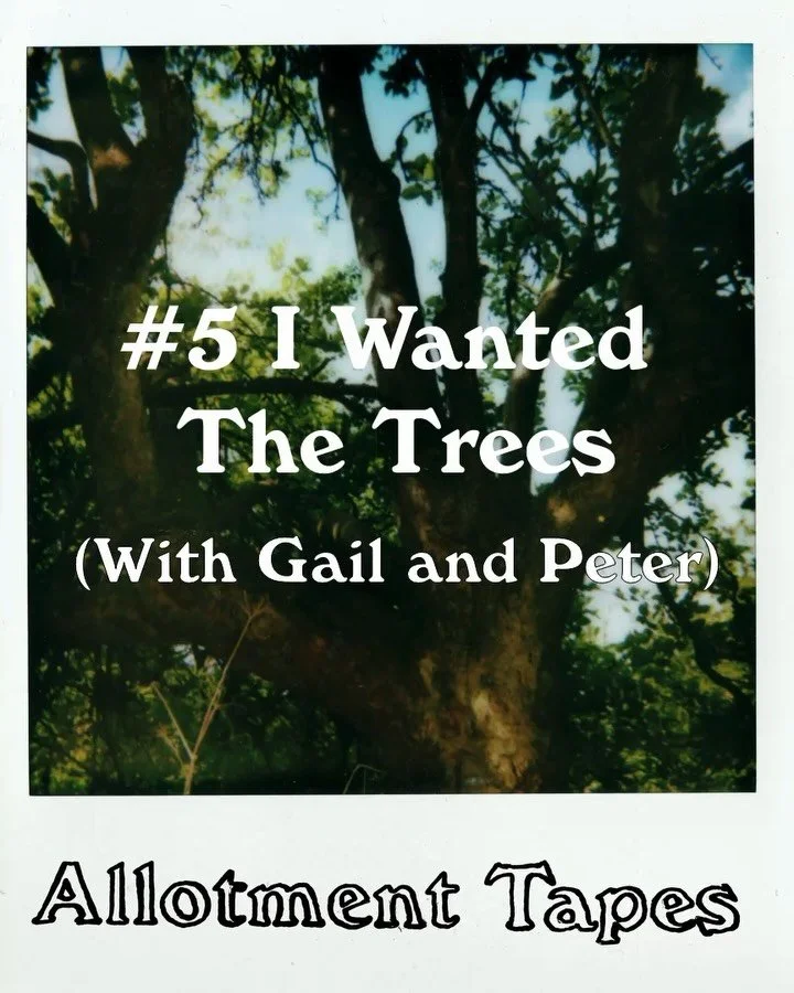 Allotment Tapes #5 is out today alongside a lovely review on this weeks @moonbuildingmag that made me smile- thanks Neil and thanks for having me at your party.
The tape visits the double plot of wife and husband Gail and Peter.
I&rsquo;ve also poste