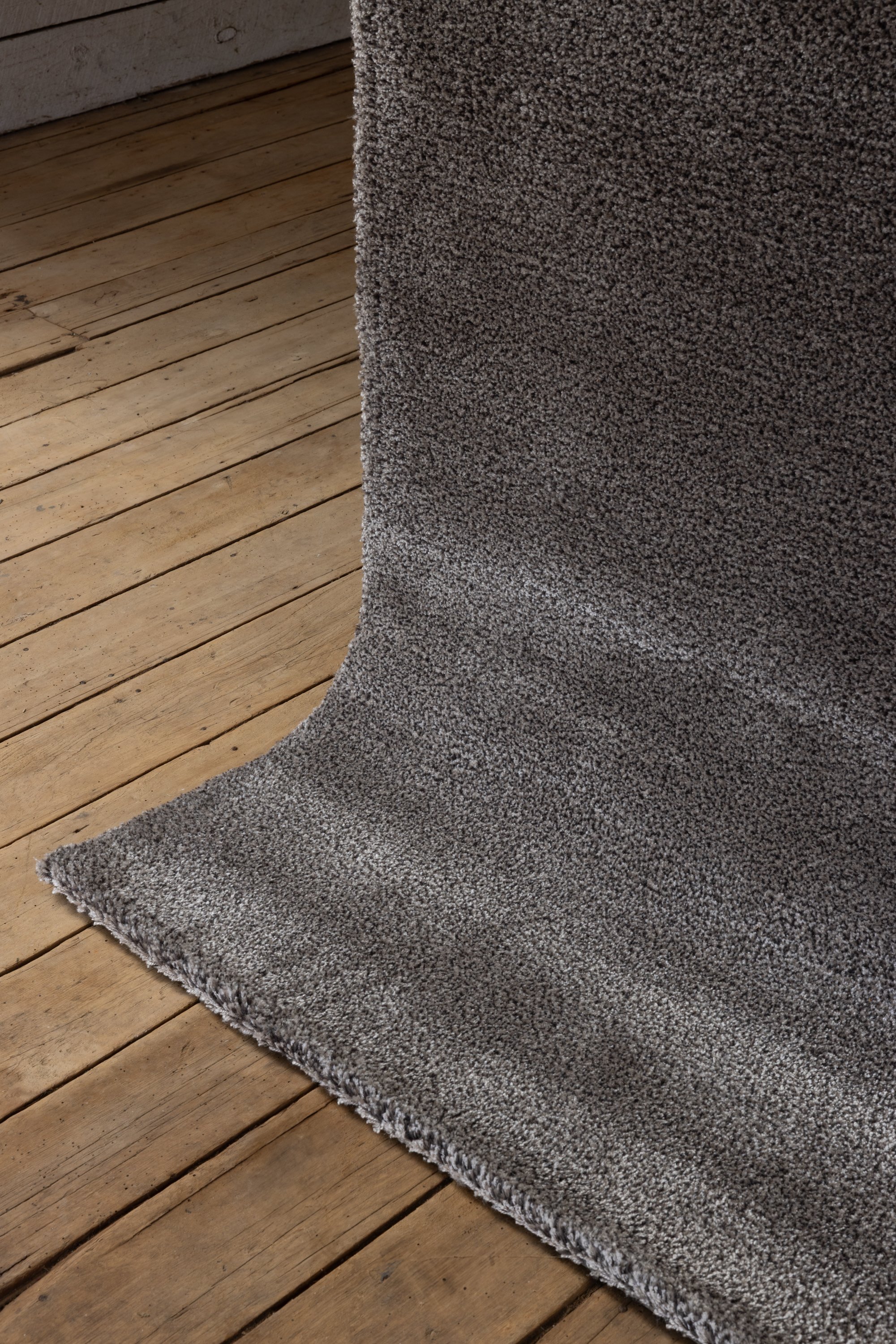 Fine Shaggy_Detail.jpg