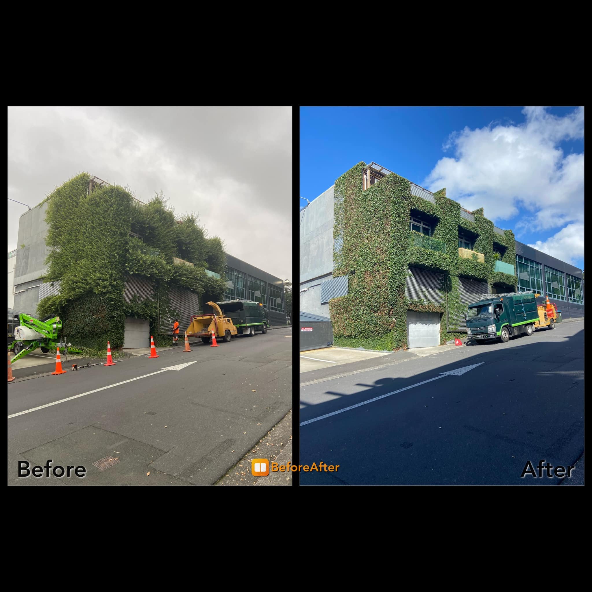 Side-by-side photos of a building with greenery. The left image shows the building with overgrown trees and branches, while the right image shows the same building after the greenery has been trimmed and maintained.