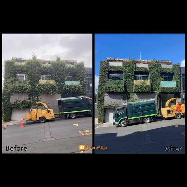 Side-by-side comparison of a building exterior before and after cleaning. The building has green ivy covering parts of the facade, and there are street cleaning vehicles parked in front. The 'before' side shows a dull, gray appearance with overcast s