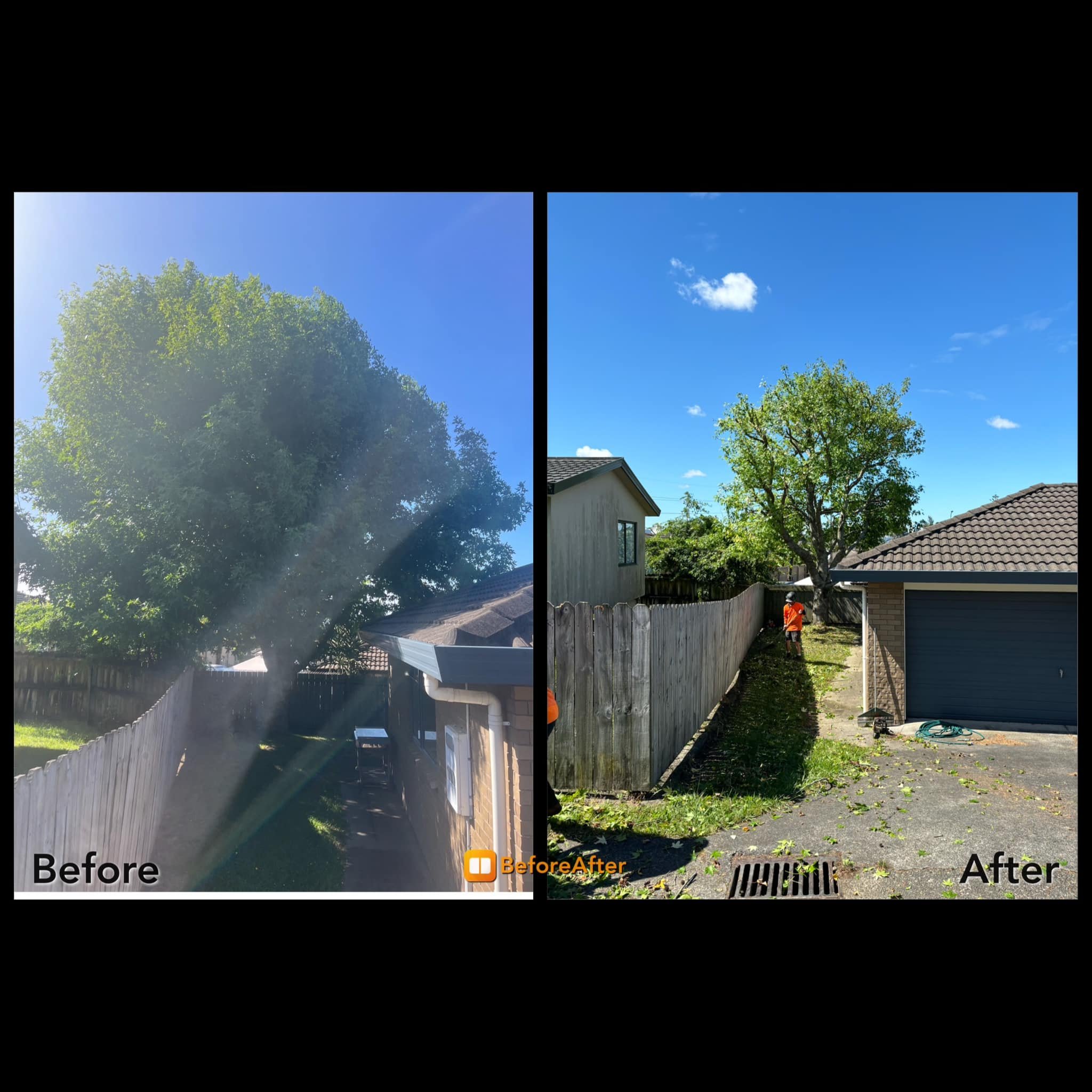 Side-by-side comparison of backyard, left side shows a large leafy tree with bright sunlight and some haze; right side shows the same area clean, with a trimmed tree, clear sky, and a person in an orange shirt working near a fence.