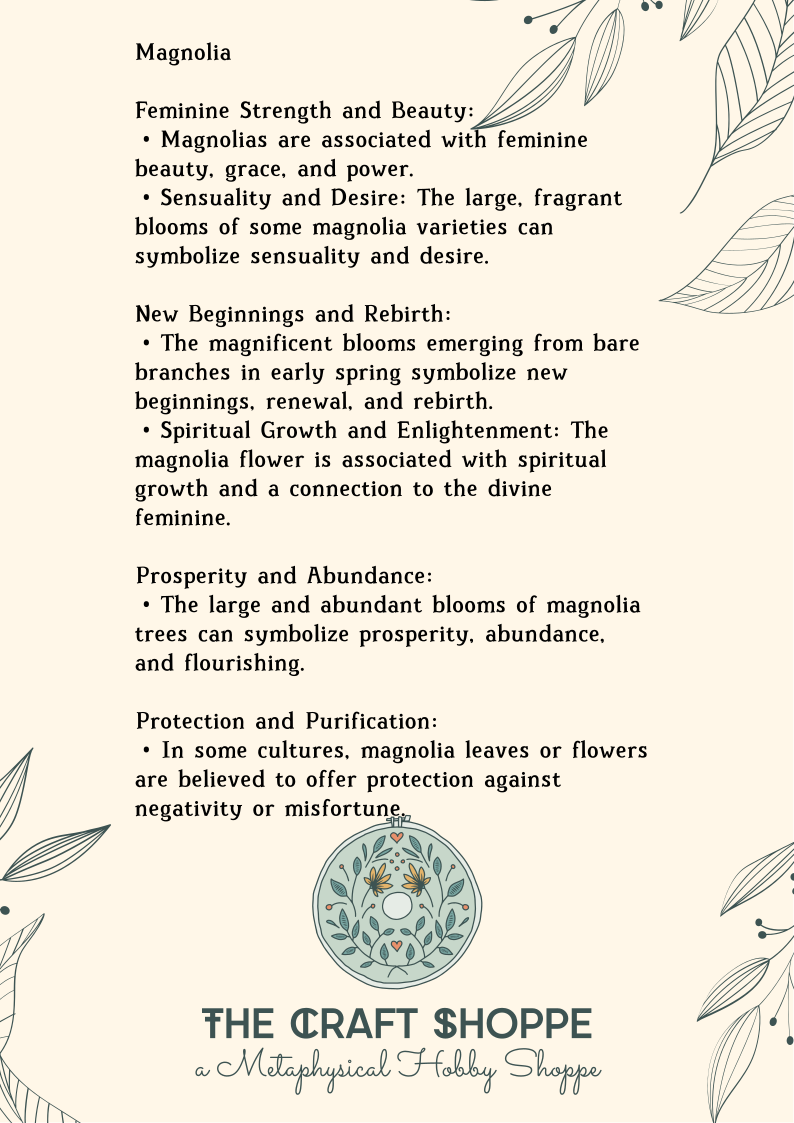 Magnolia-Description.png