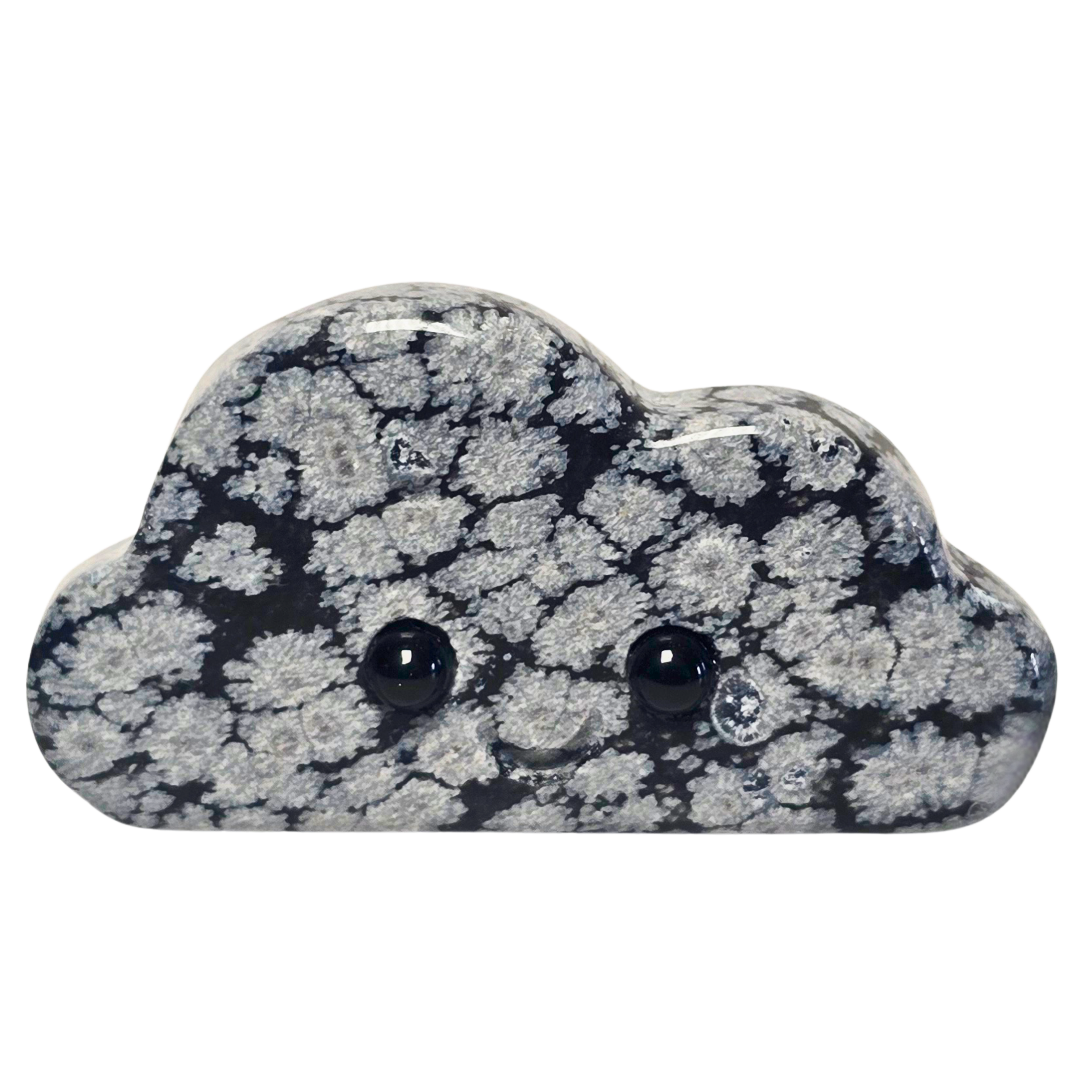 Cloud Buddy_Snowflake Obsidian_Primary.png