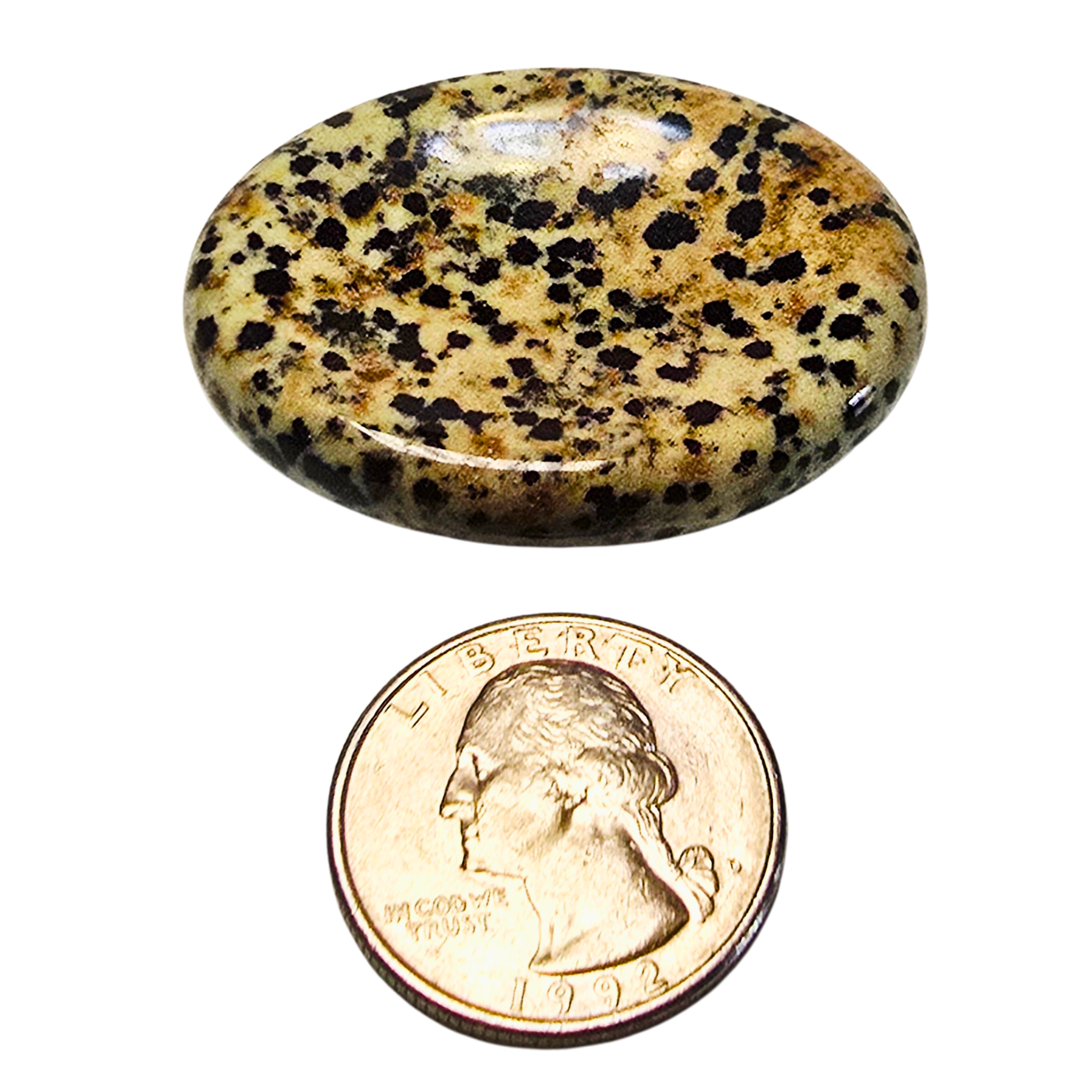 Thumb Stone_Dalmation Jasper_Scale.png