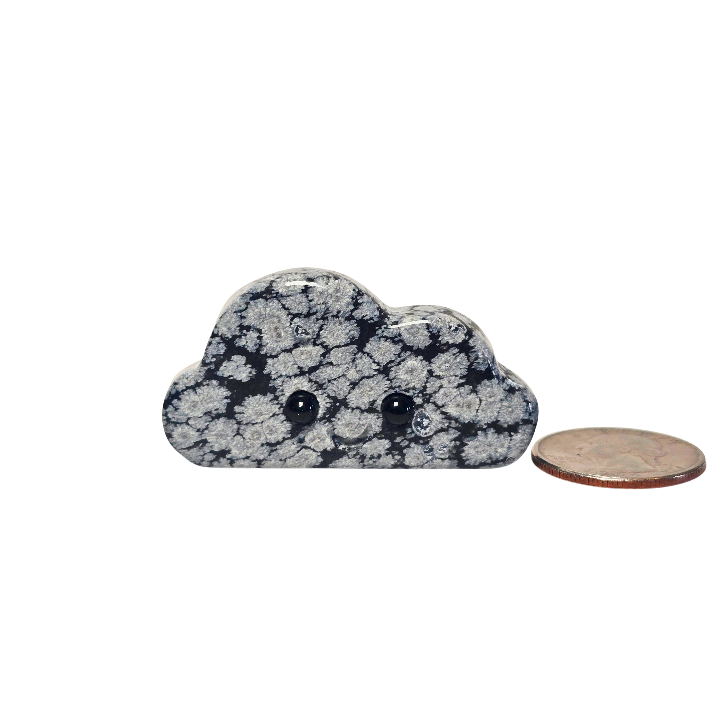 Cloud Buddy_Snowflake Obsidian_Scale.png