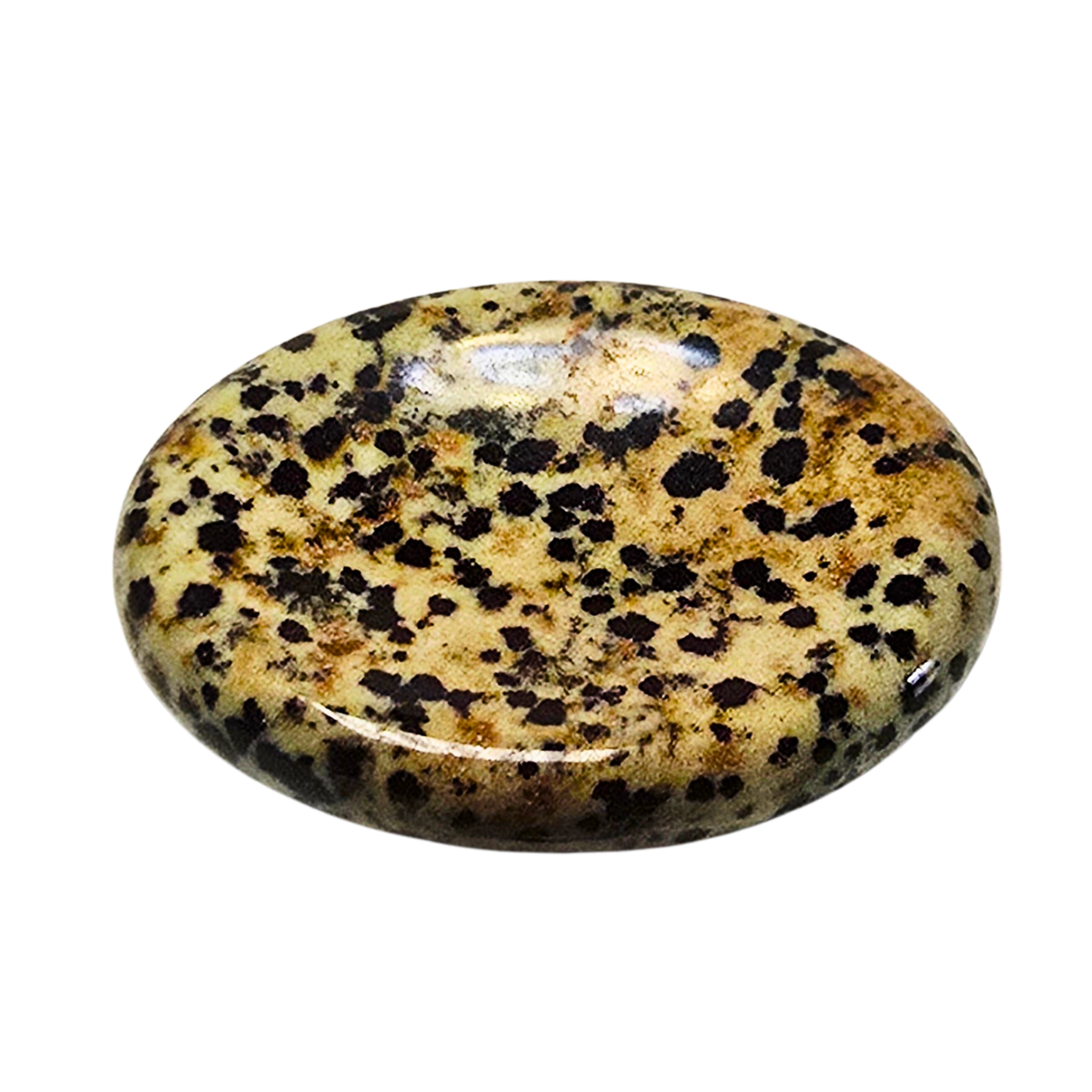 Thumb Stone_Dalmation Jasper_Primary.png