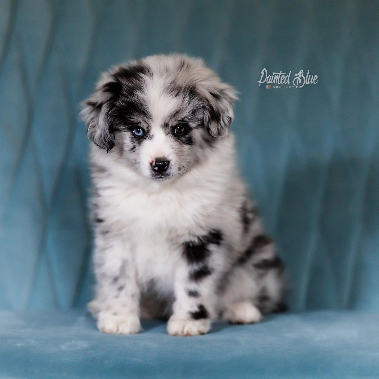 Loooook! A sneak peek of a tiny little thing 🥰