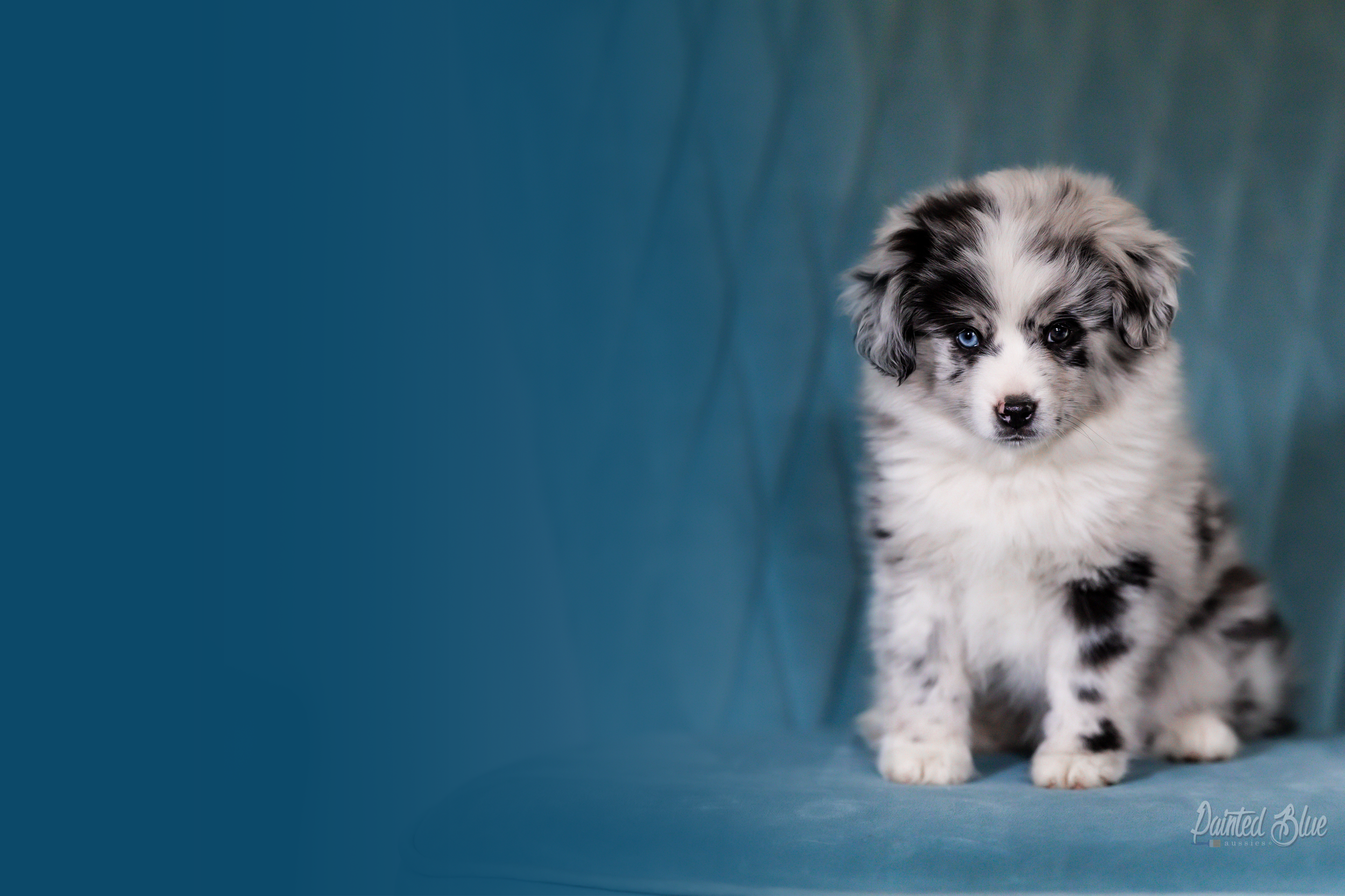 Untitled design.png.png