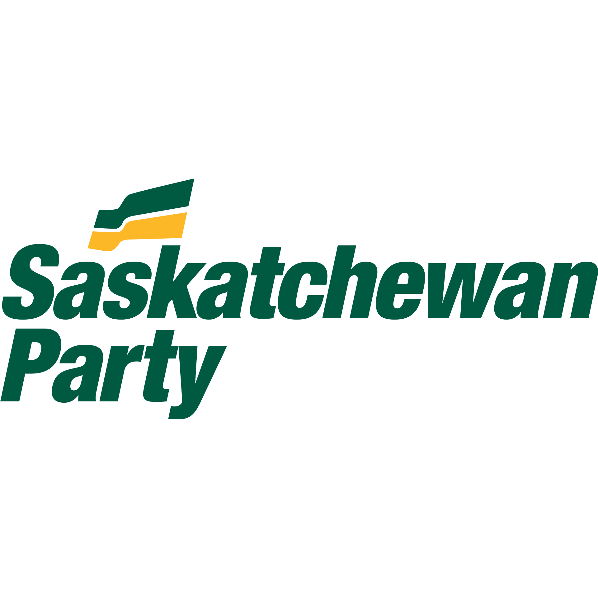 The Saskatchewan Party Tournament