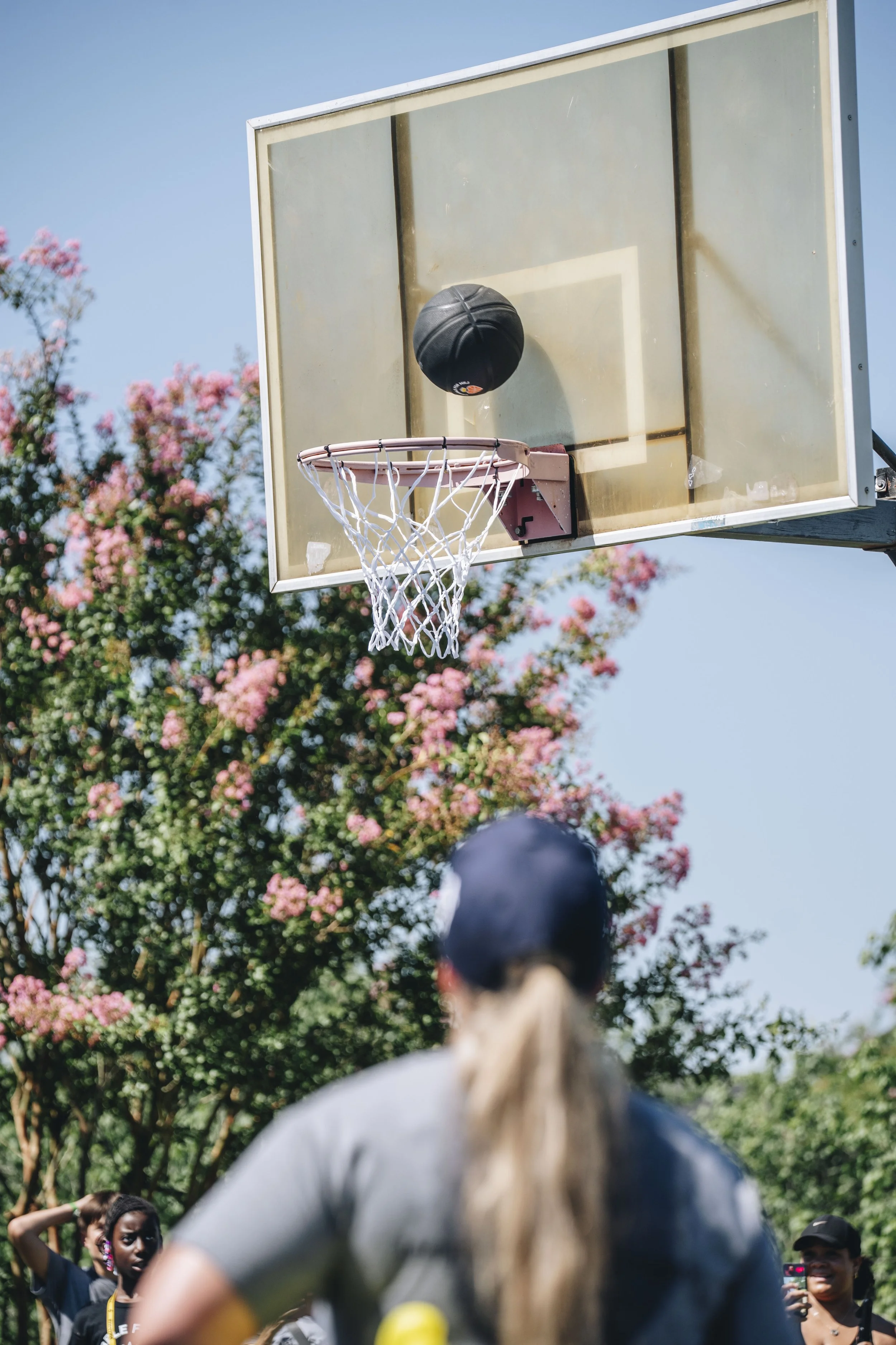 DRIBBBLE FOR MKJ_262.JPG