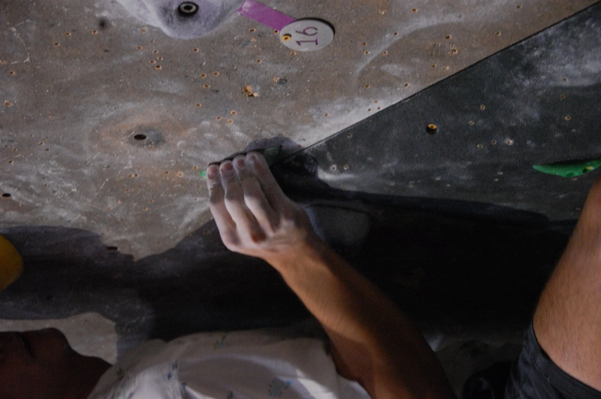 Winter's Chill - Competition