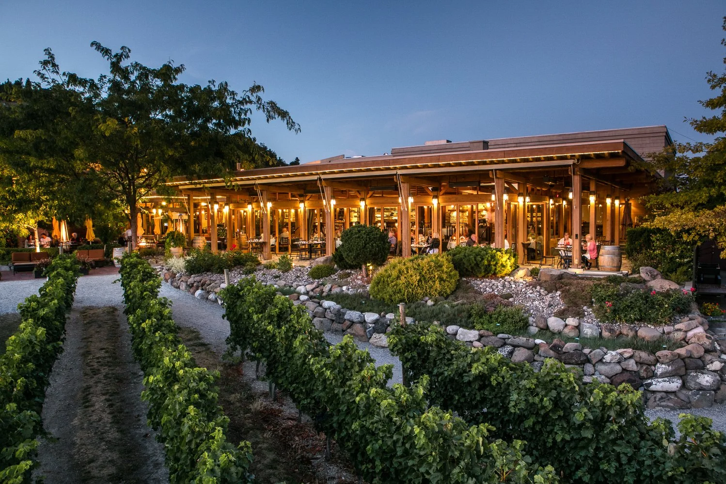 Culinary Celebration Dinner at Old Vines Restaurant
