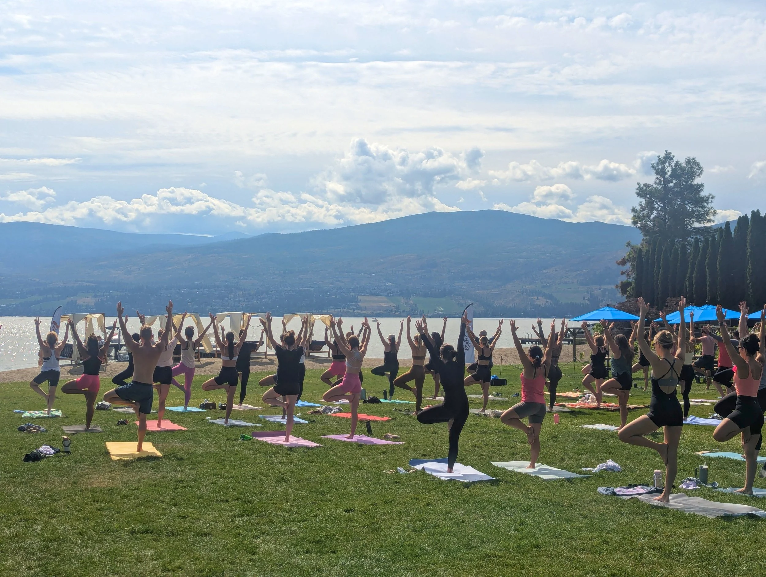 Yoga & Mimosa at Frind Estate Winery