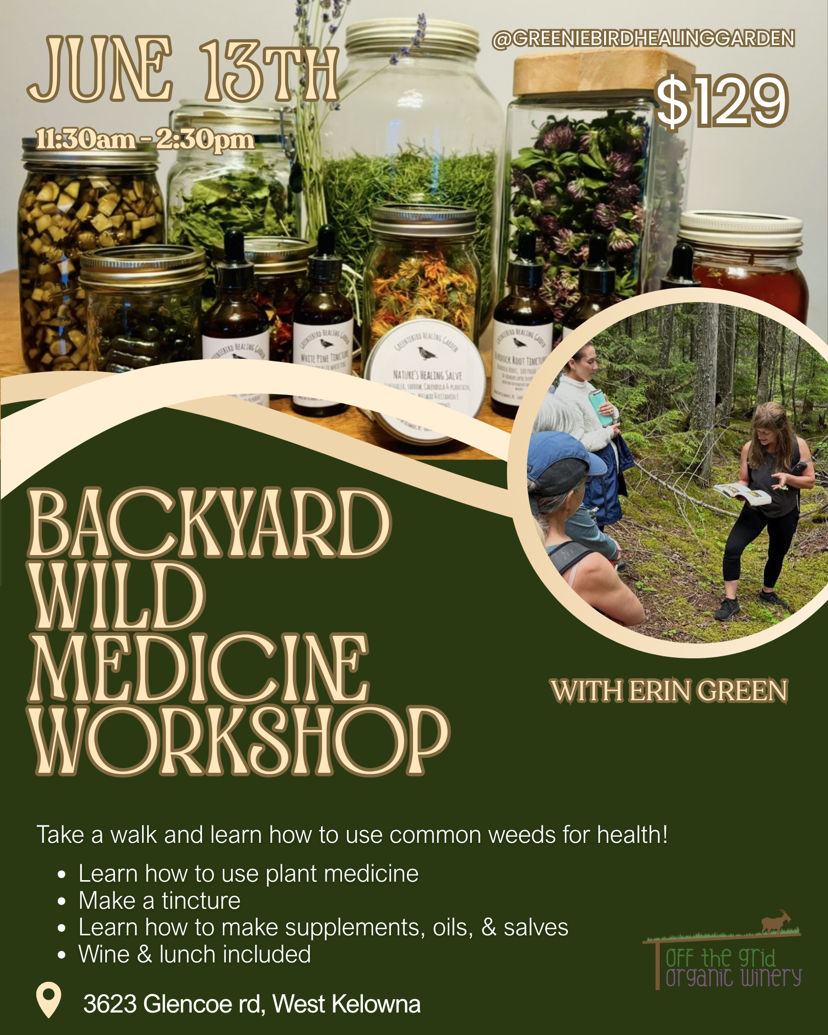 Backyard Wild Medicine Workshop