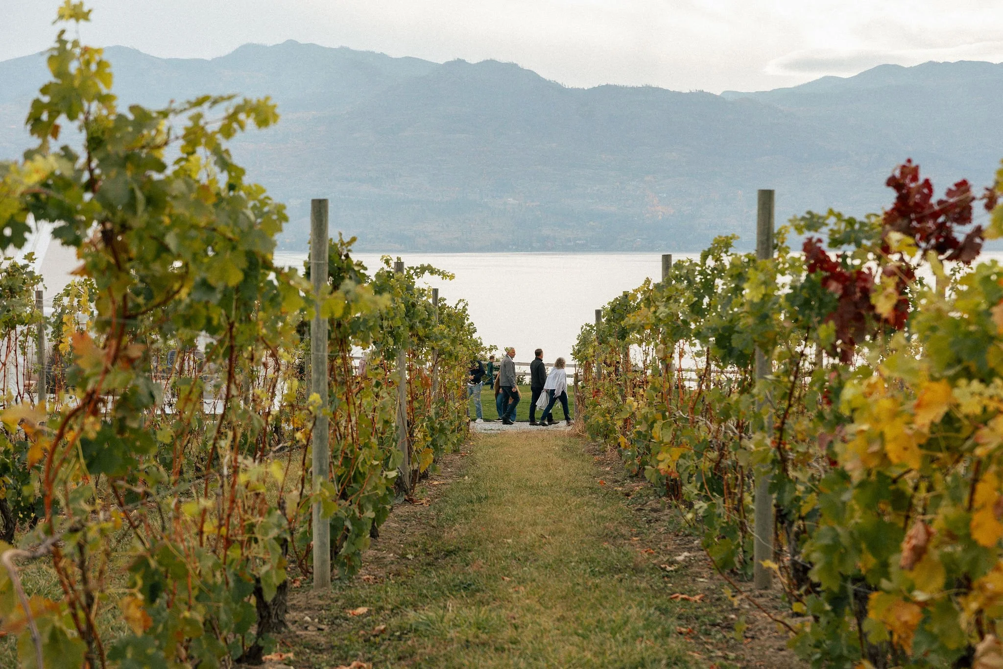 Harvest Celebration Tour &amp; Tasting 