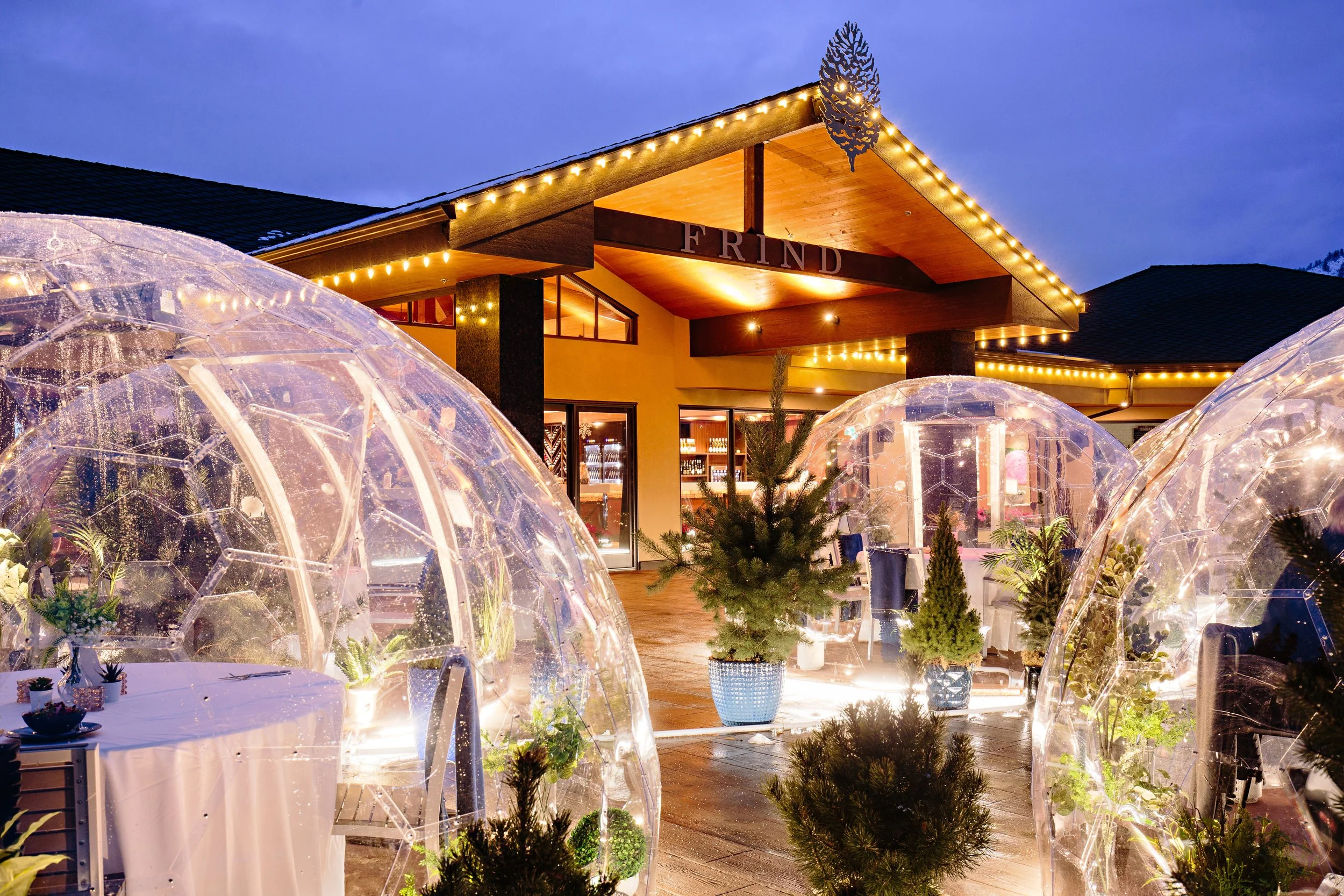 Dome Dining at Frind Estate