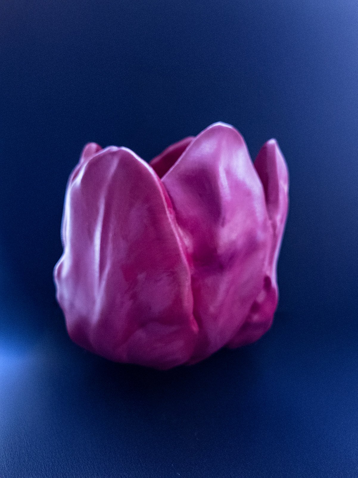 Tulip Vase, 3d printed and hand painted, side view