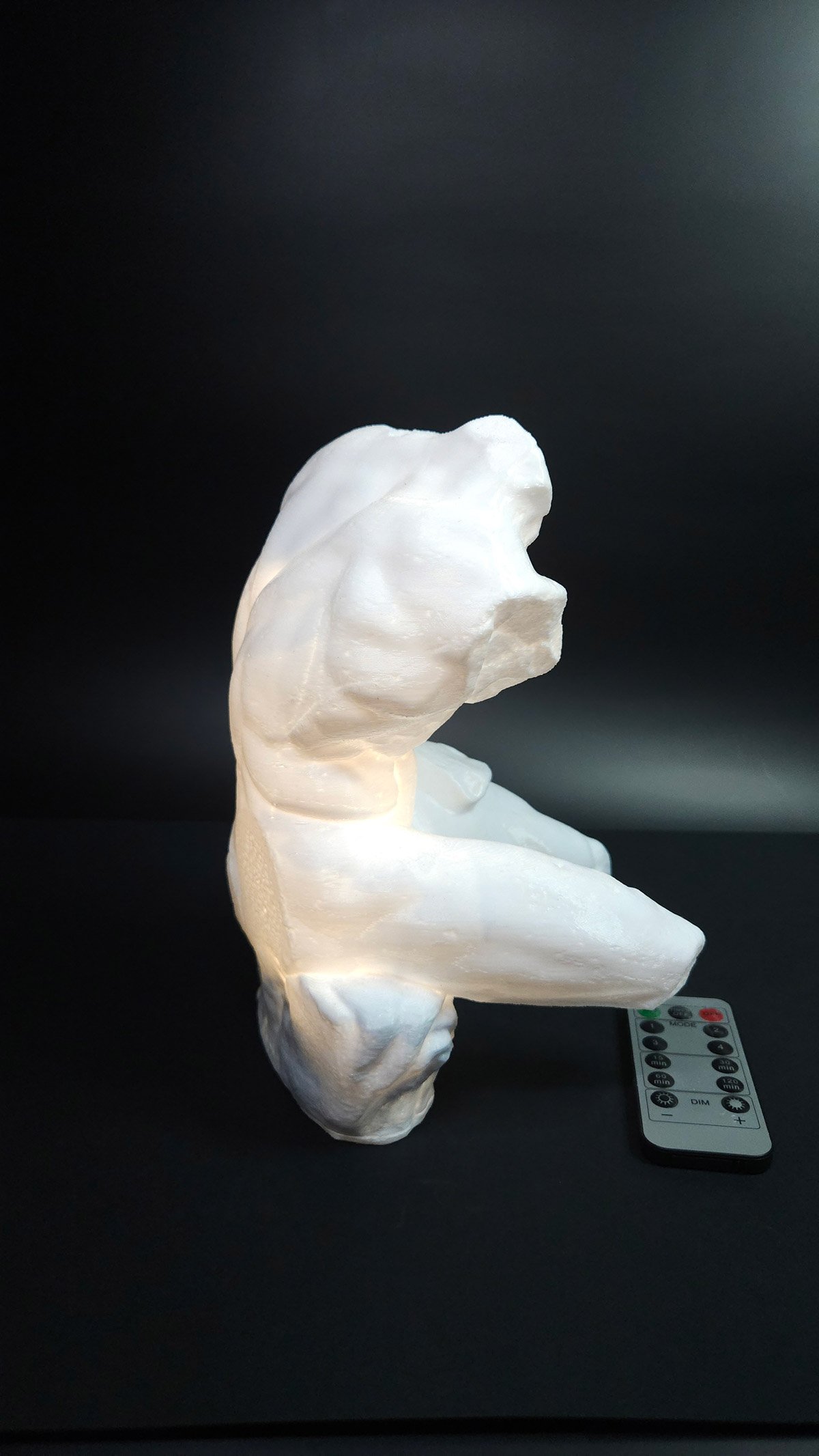 3d printed Torso Belvedere reproduction with light