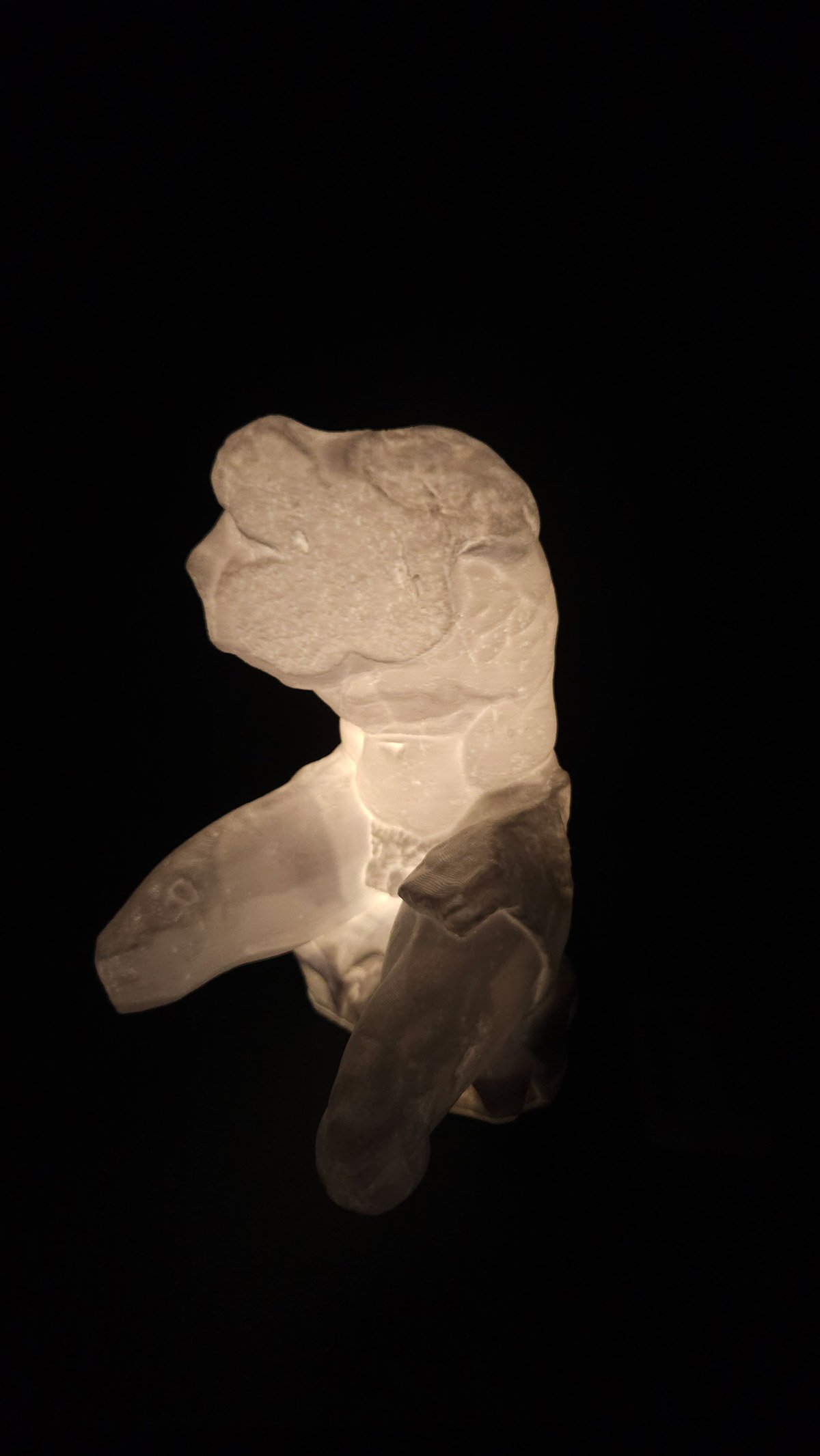 3d printed Torso Belvedere reproduction with light