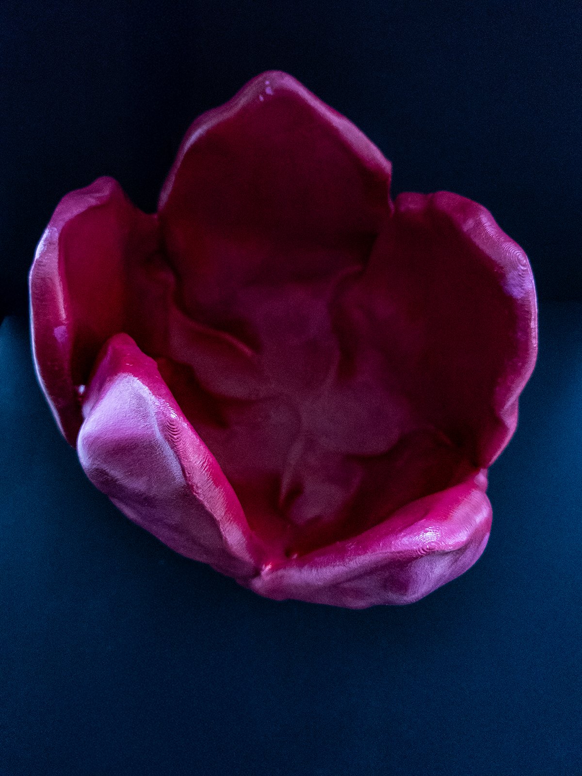 Tulip Vase, 3d printed and hand painted, top view