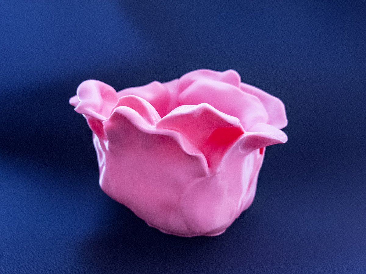 Pink rose vase 3d printed side view