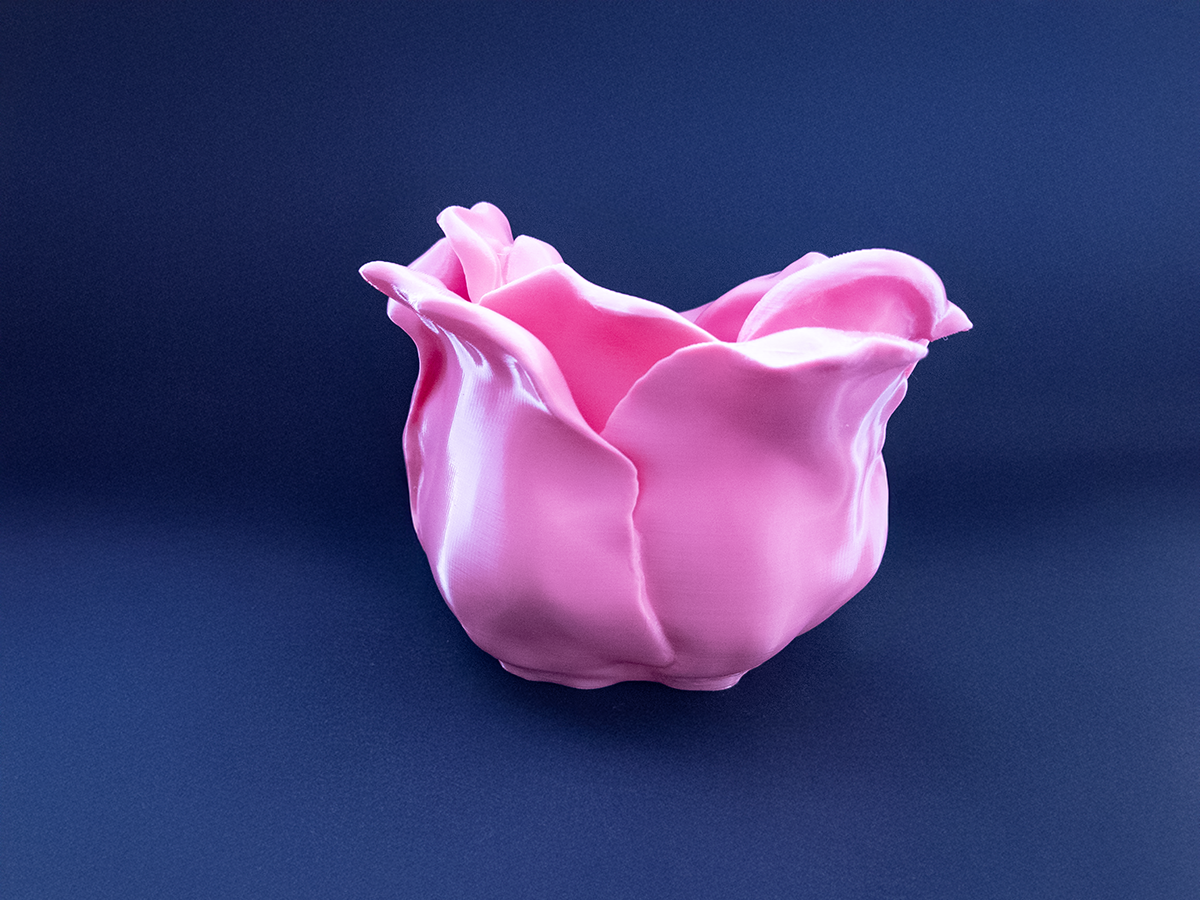 rosesidebs.png