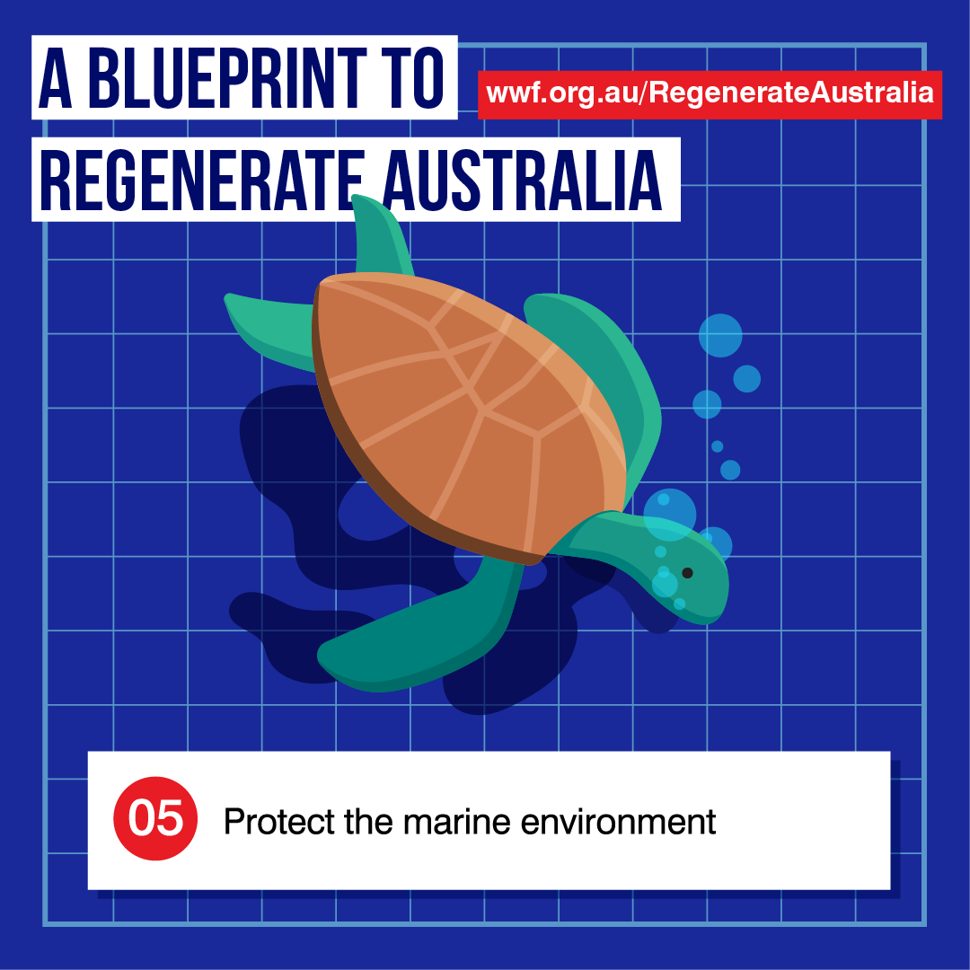 WWF_AusMap_Blueprint_1080x1080_v01-05.png