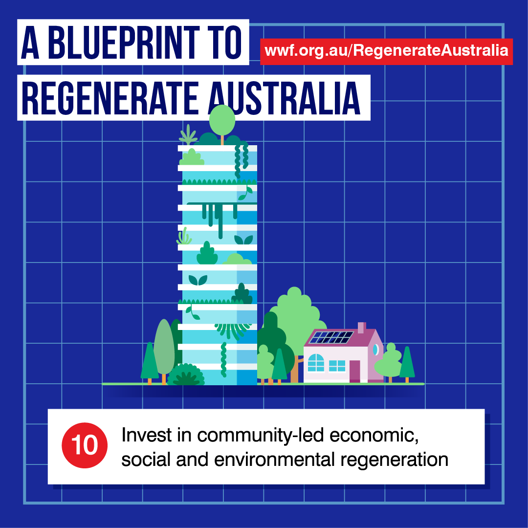 WWF_AusMap_Blueprint_1080x1080_v01-10.png