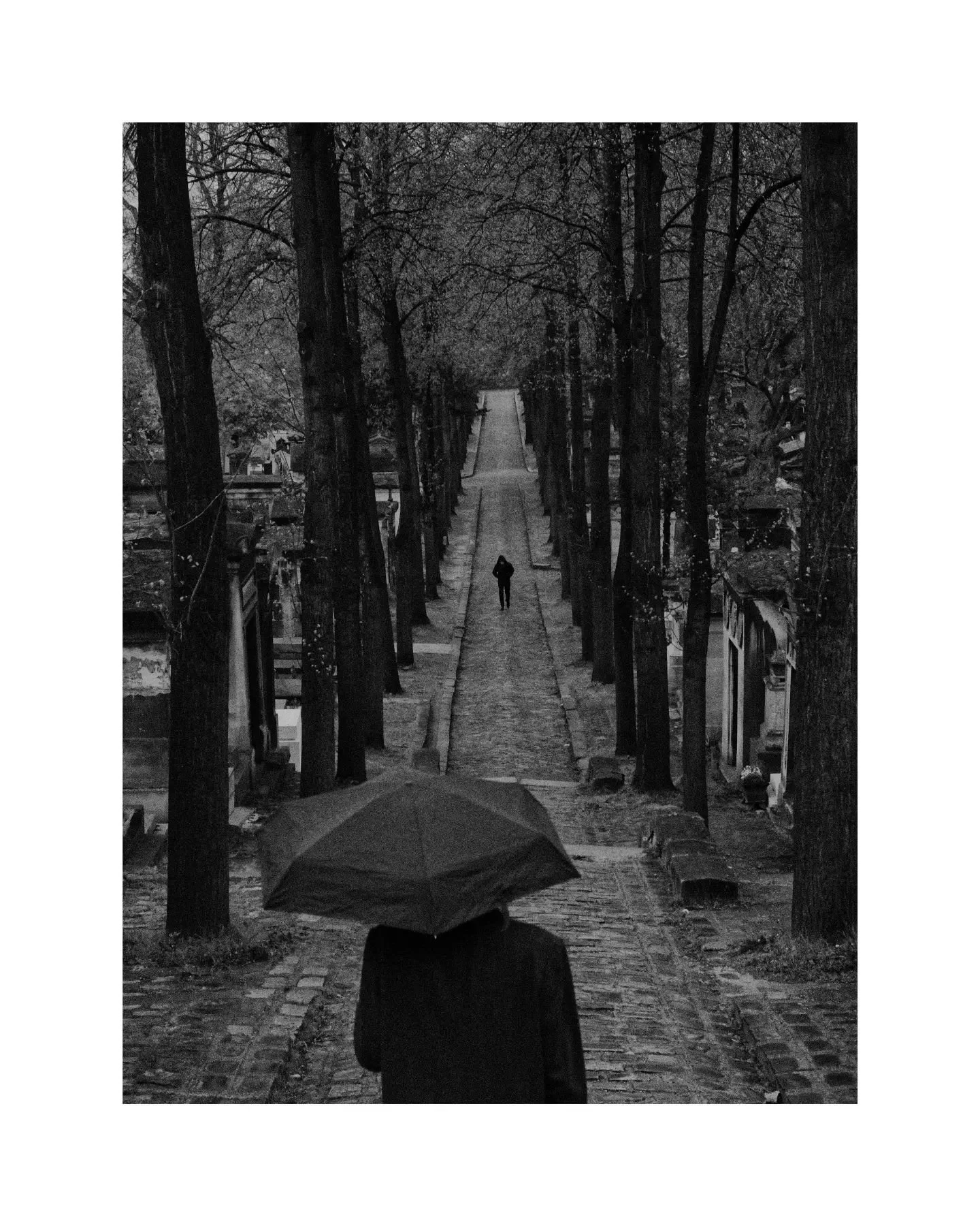 Black and white photo of a person holding an umbrella walking down a tree-lined path, with another person walking ahead in the distance. The scene is atmospheric and reflective.